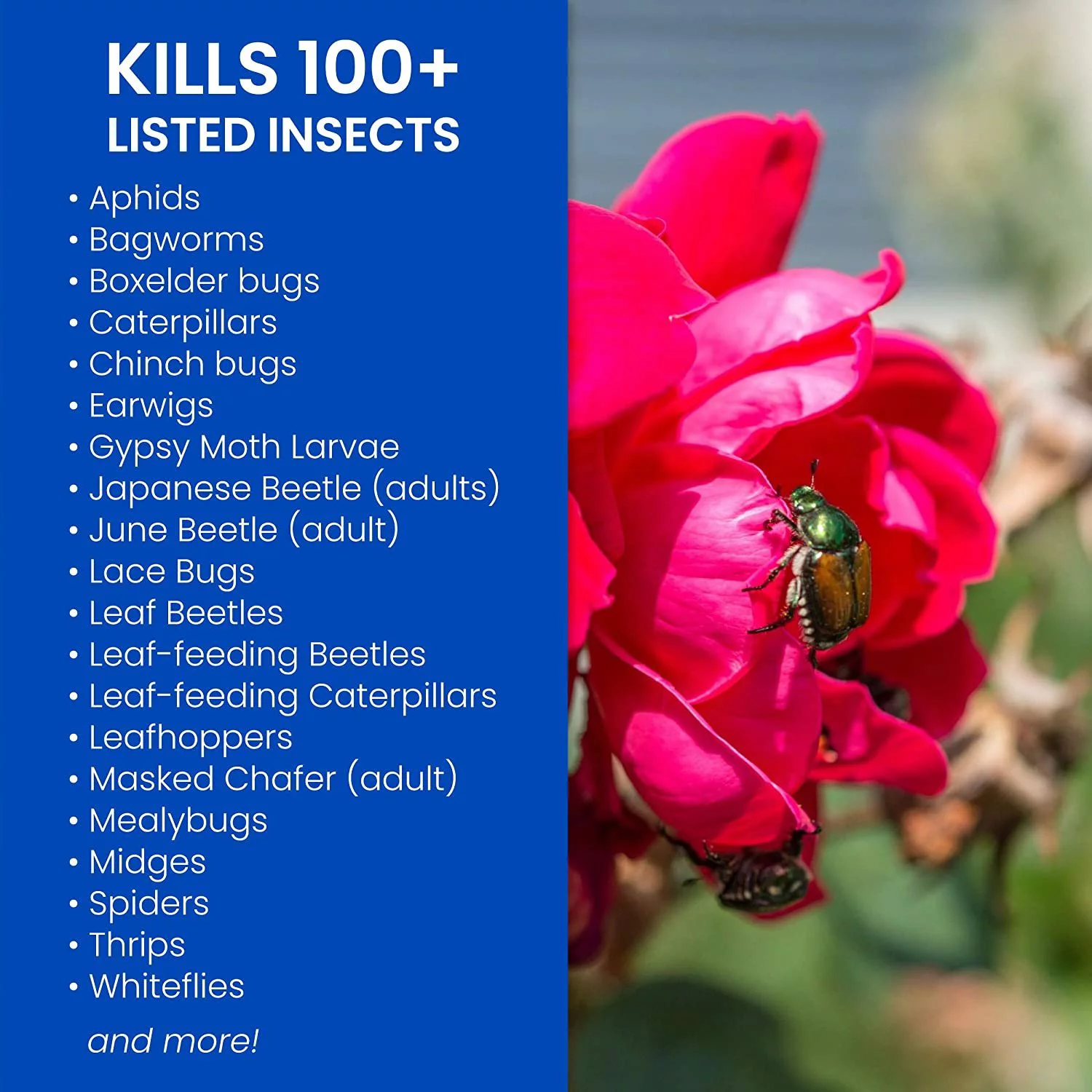 BIOADVANCED 708570 24 oz Rose & Flower Insect Killer RTU, 24-Ounce, White