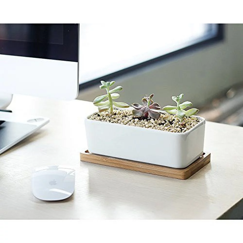 White Plant Pots - 6 Inch Rectangular Ceramic Planters with Bamboo Trays and Drainage Holes for Bonsai, Flowers or Succulents, Set of 2