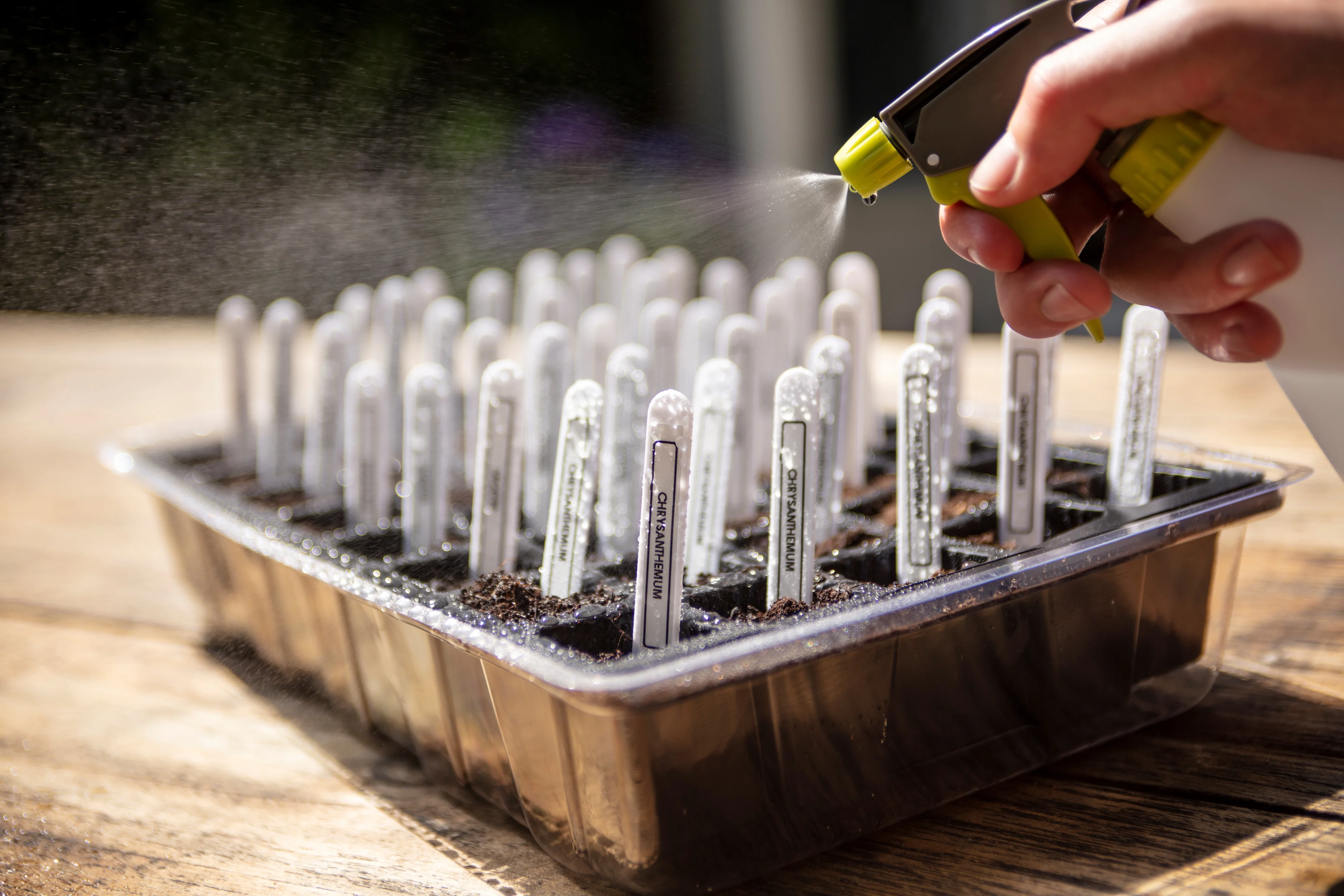 Brother P-touch Home Personal Label Maker, PT-D202