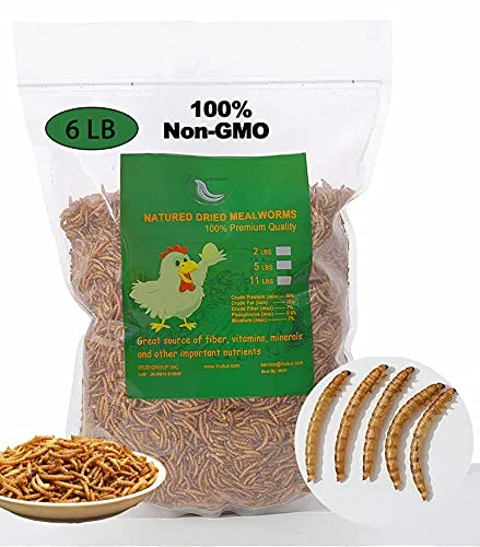 Non-GMO High-Protein Large Dried Mealworms for Chickens, Natural Grubs and Poultry Treats as Chicken Feed,Duck Food, Wild Birds Seed,Fish Food,Reptile Food,Amphibian Food(Mealworms-6LB)