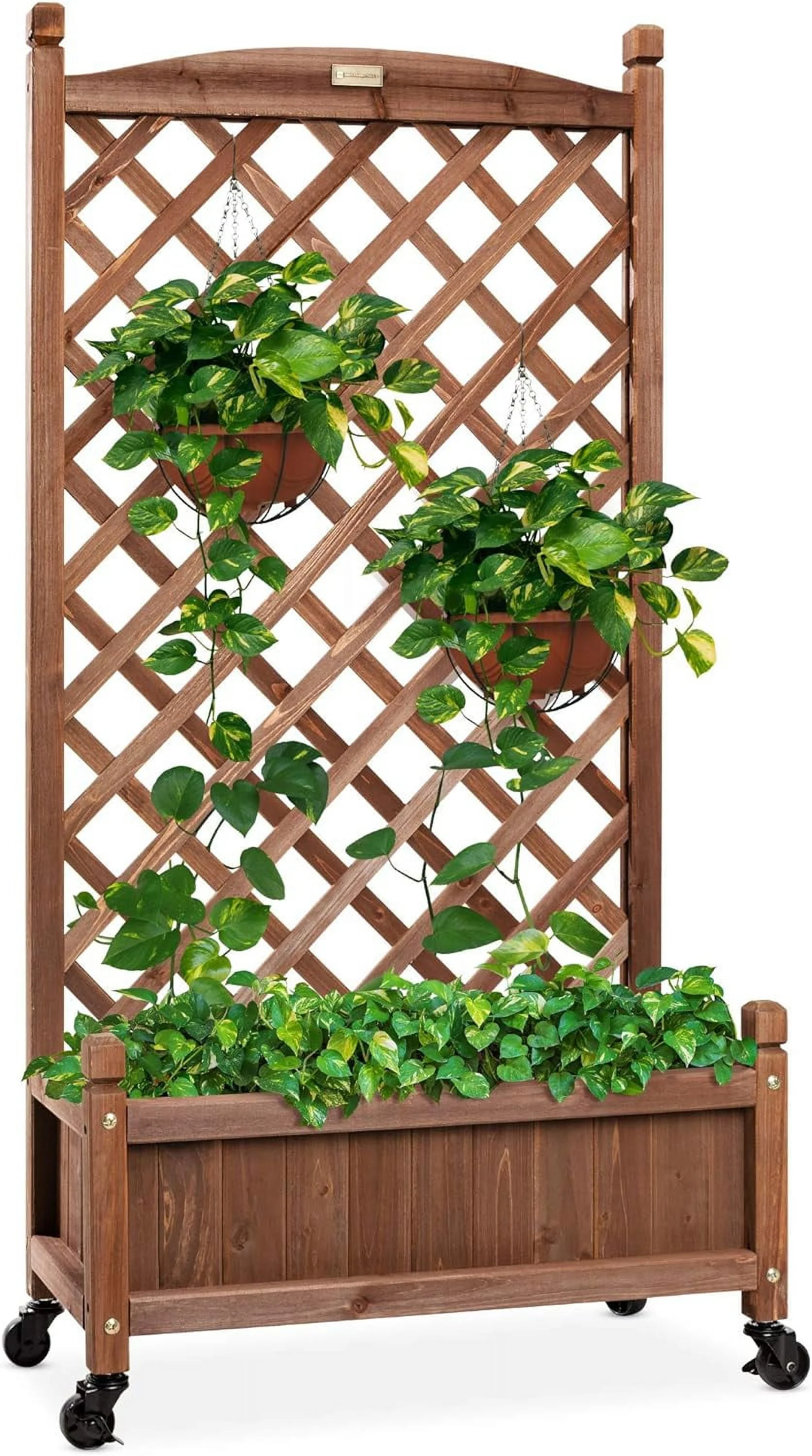 48in Wood Planter Box & Diamond Lattice Trellis, Mobile Outdoor Raised Garden Bed for Climbing Plants w/Drainage Holes, Optional Wheels - Walnut
