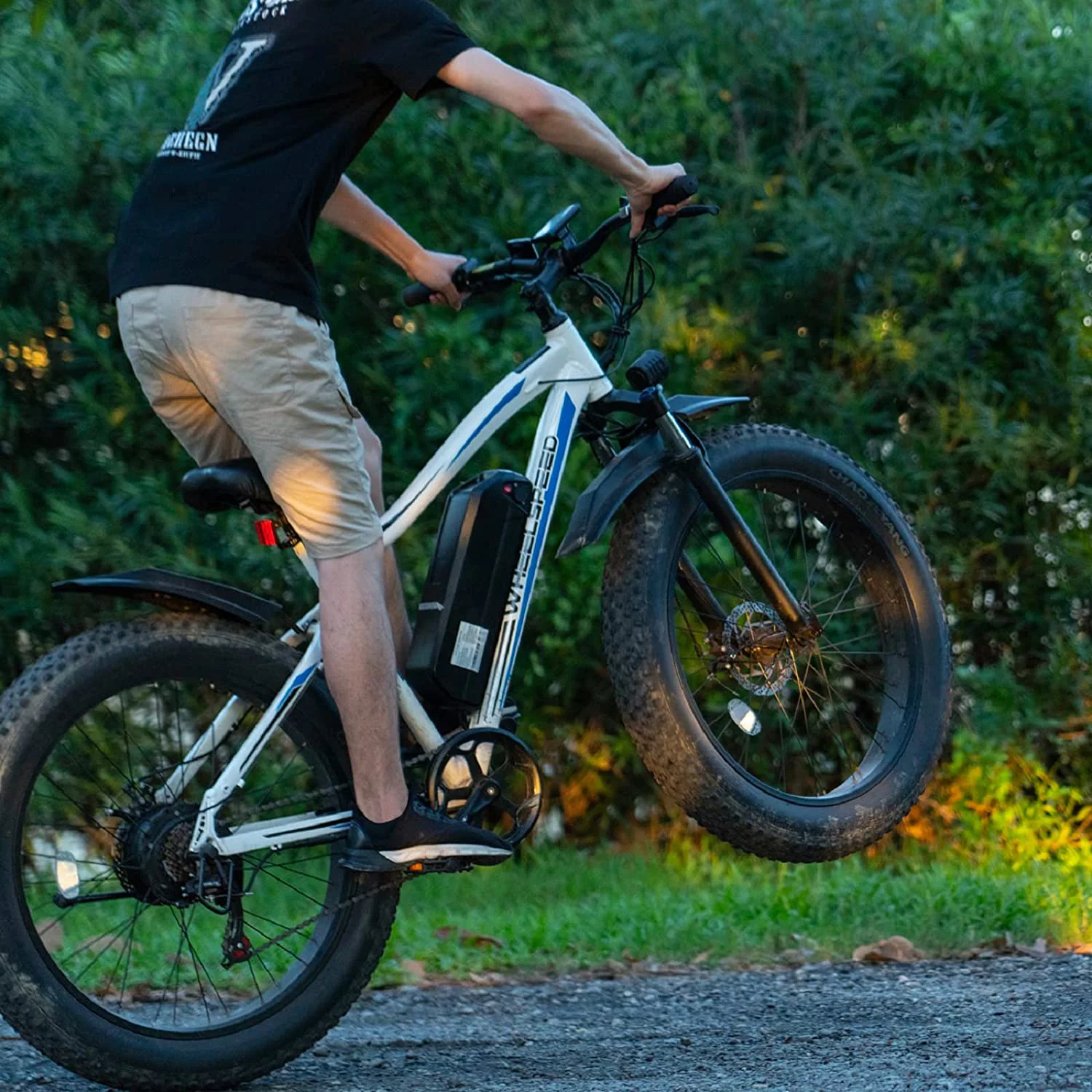 Wheelspeed S6 Electric Bike 26