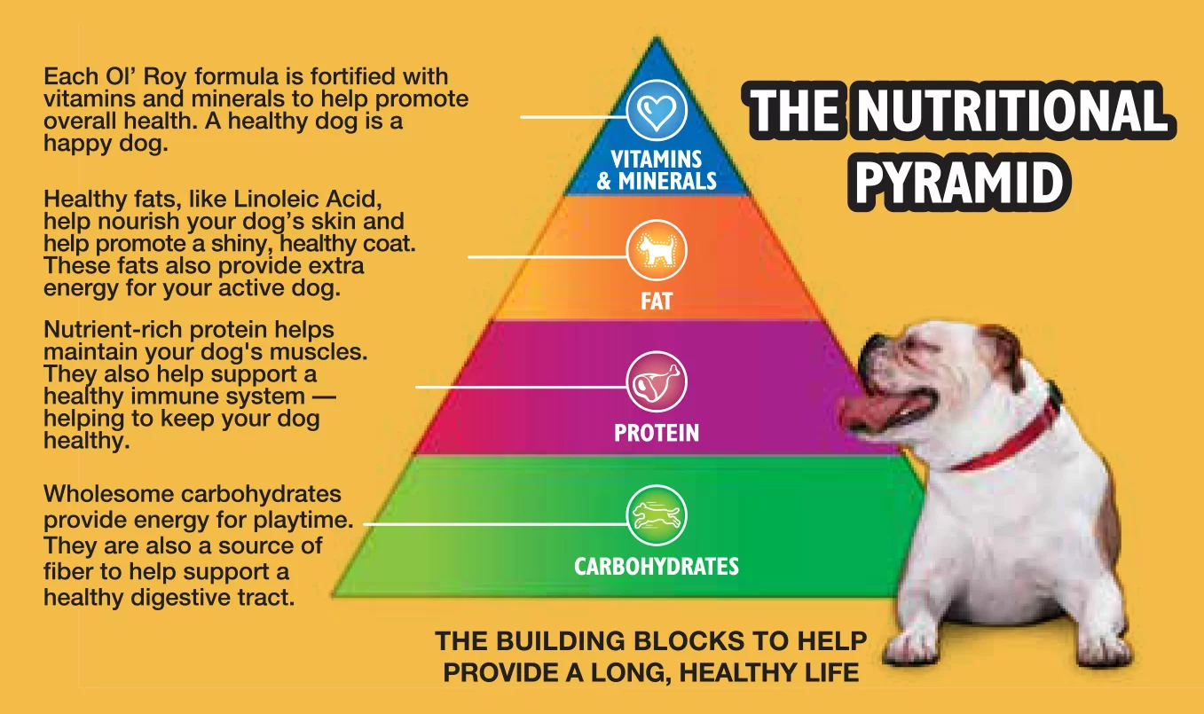 Ol' Roy Puppy Complete Dry Dog Food, 15 lb