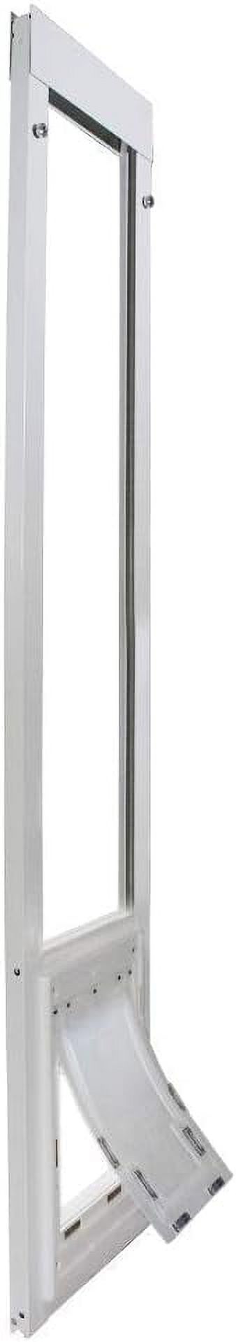 Pure cotton T-shirt summer round neck casual versatile women's top T Shirt 2024