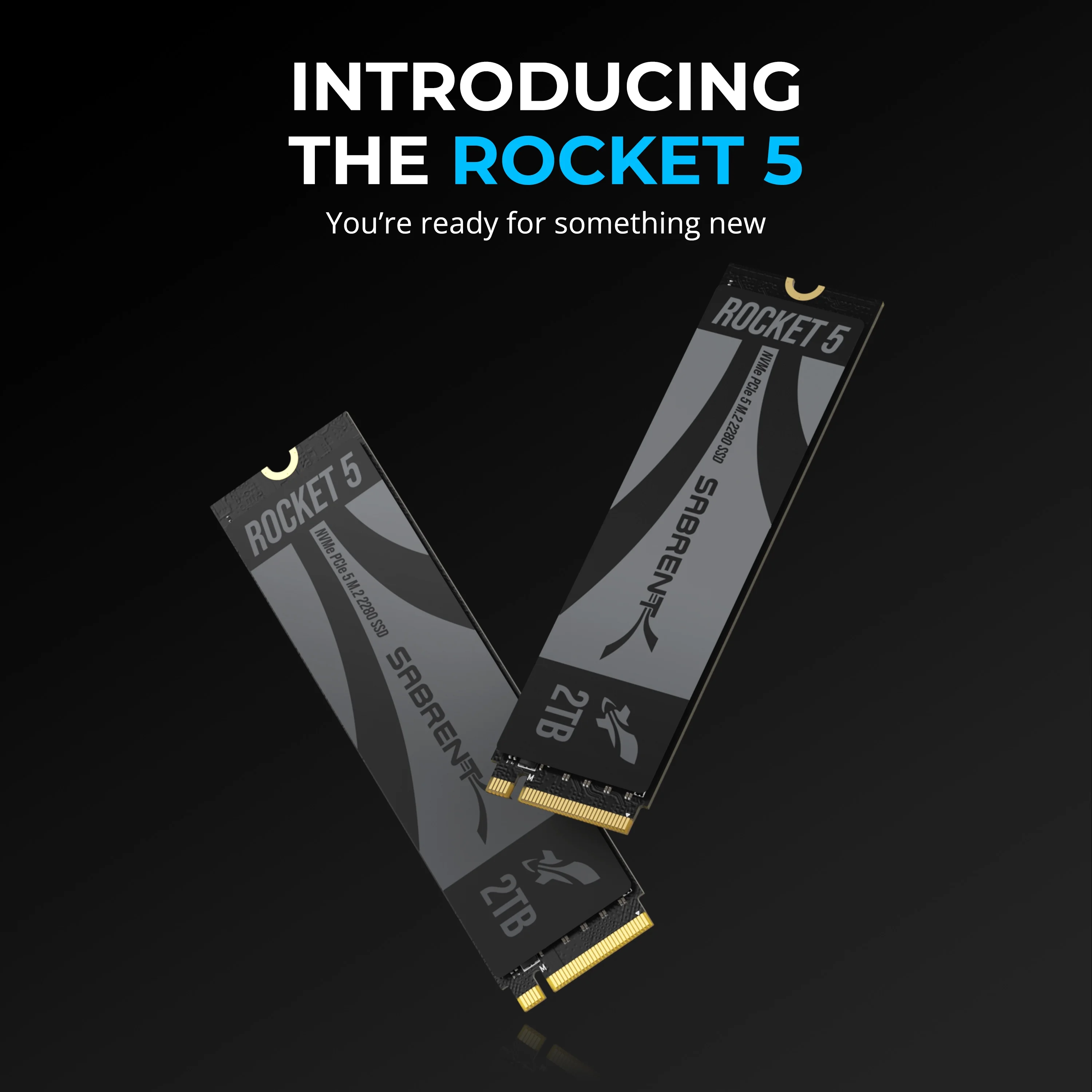 SABRENT Rocket 5 2TB Advanced Performance Internal M.2 PCIe GEN 5 14GB/s X4 NVMe SSD (SB-RKT5-2TB)