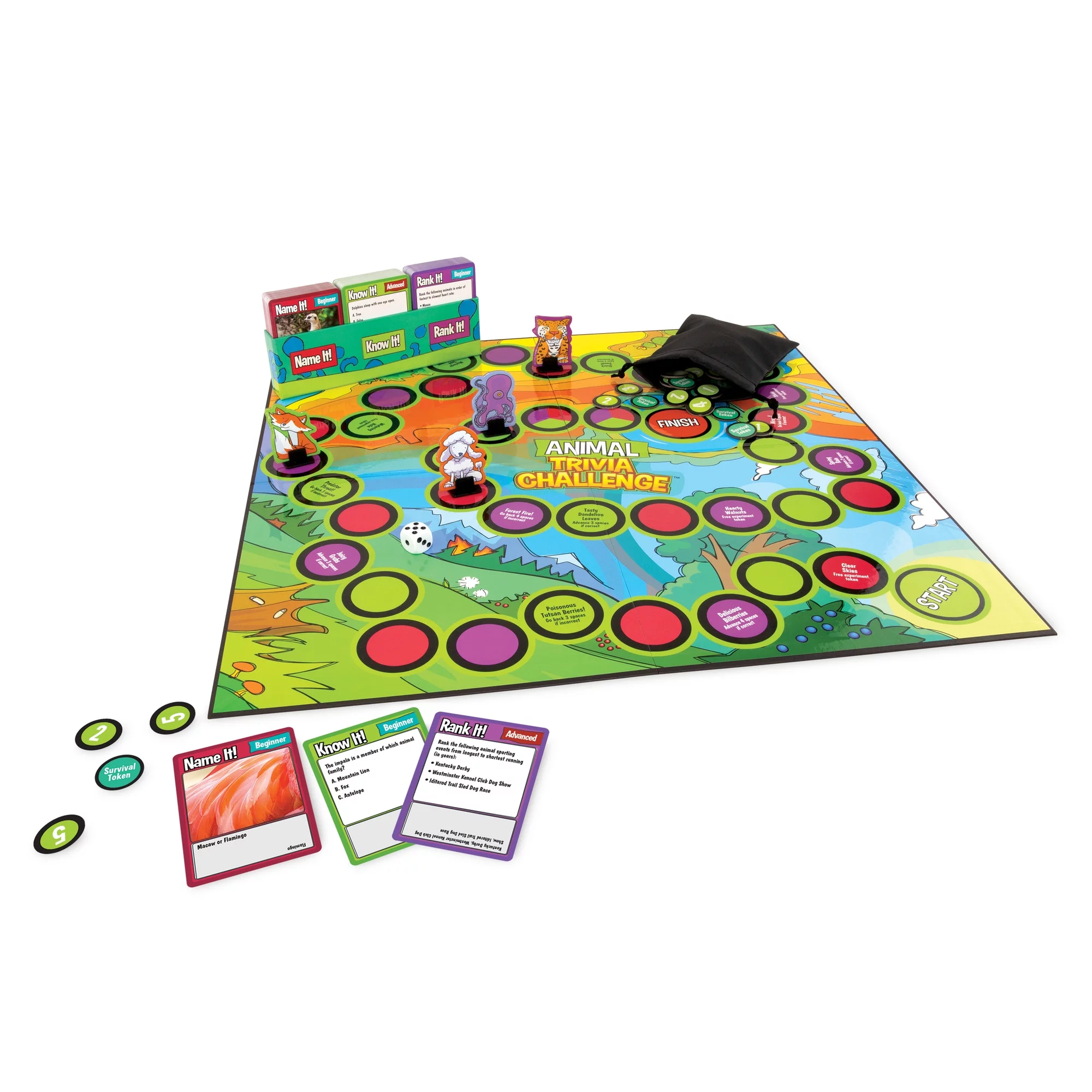 MindWare Animal Trivia Challenge Game - 2 to 4 Players - Ages 7+