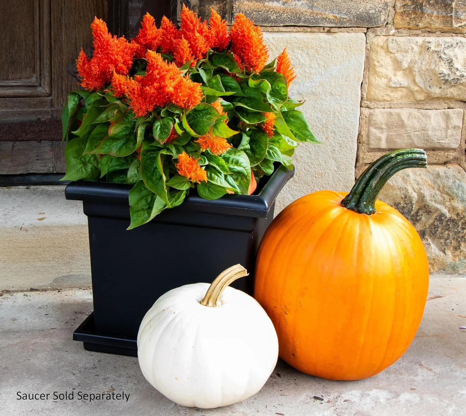 HC Companies Plastic Accent Planter,  Black - 15