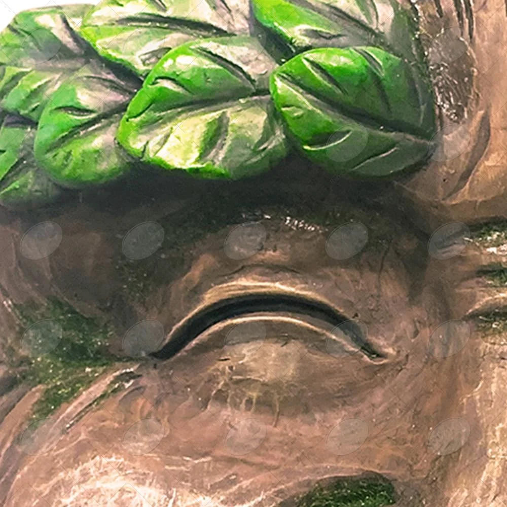 Red Carpet Studios Sculpted Resin Tree Face Planter, Wink, 9 x 10-Inch