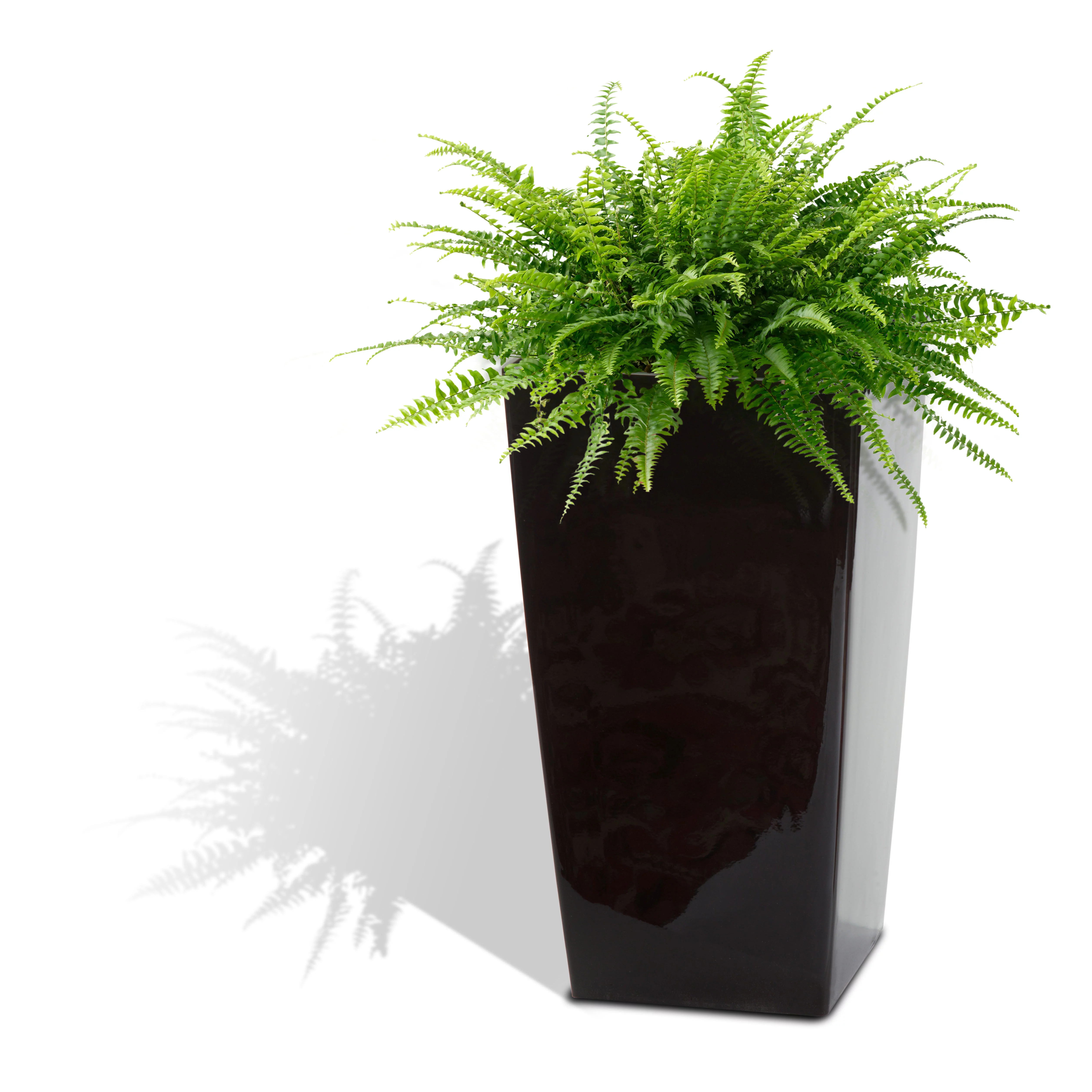 Algreen Modena 22-In. Square Taper Planter, Self-Watering, Glossy Black