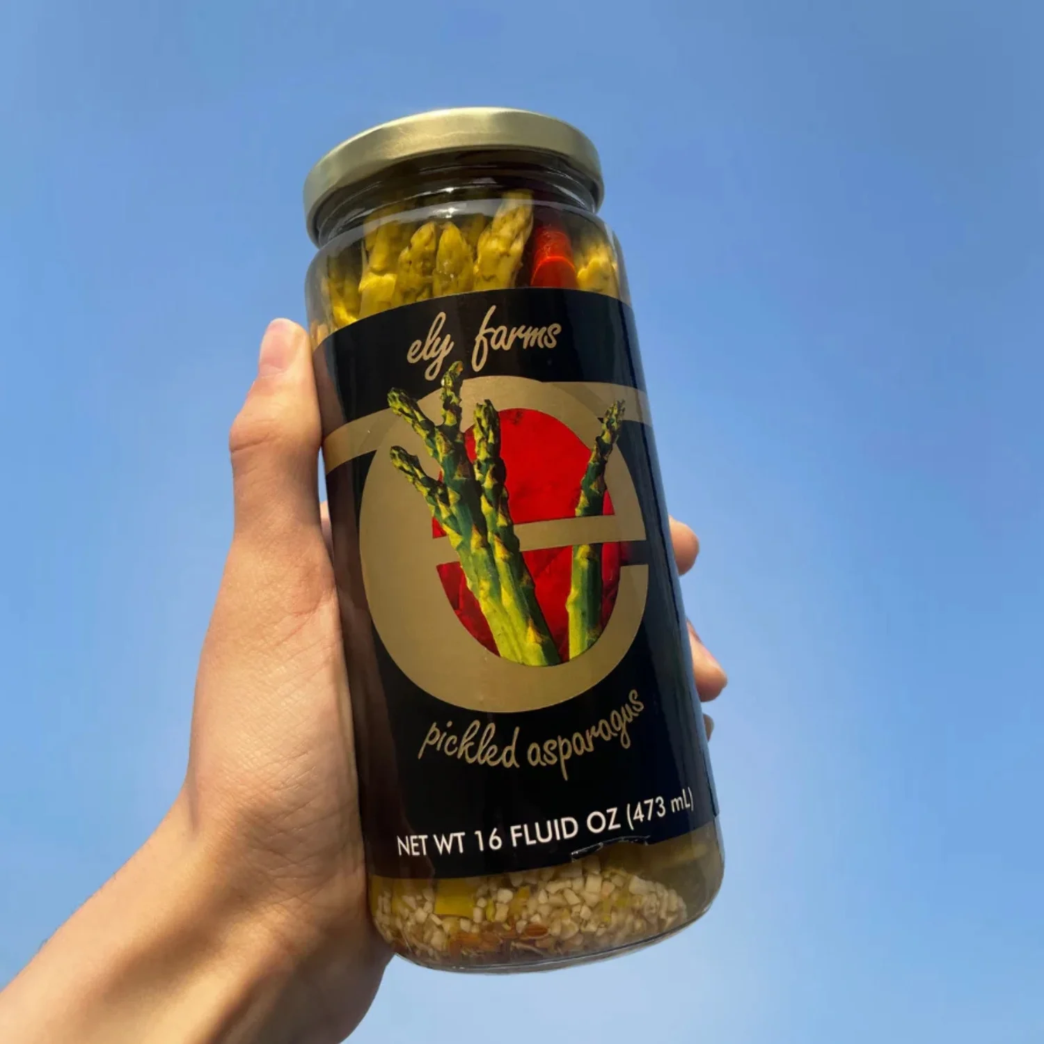 Pickled Asparagus | Bloody Mary Gourmet Garnish | Delicious Appetizer | Harvested Fresh | Zesty and Crunchy Spears | Made in Nebraska | 16 oz. Jar | Pack of 2 | Shipping Included