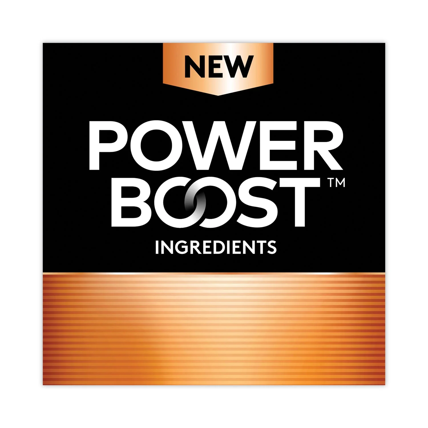 power Boost Coppertop Alkaline AA batteries 12/Pack MN15B12BCD