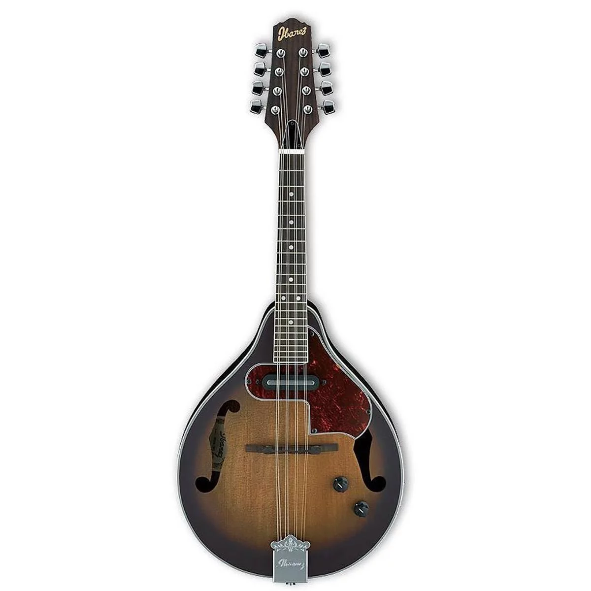 M510E Acoustic Electric Mandolin
