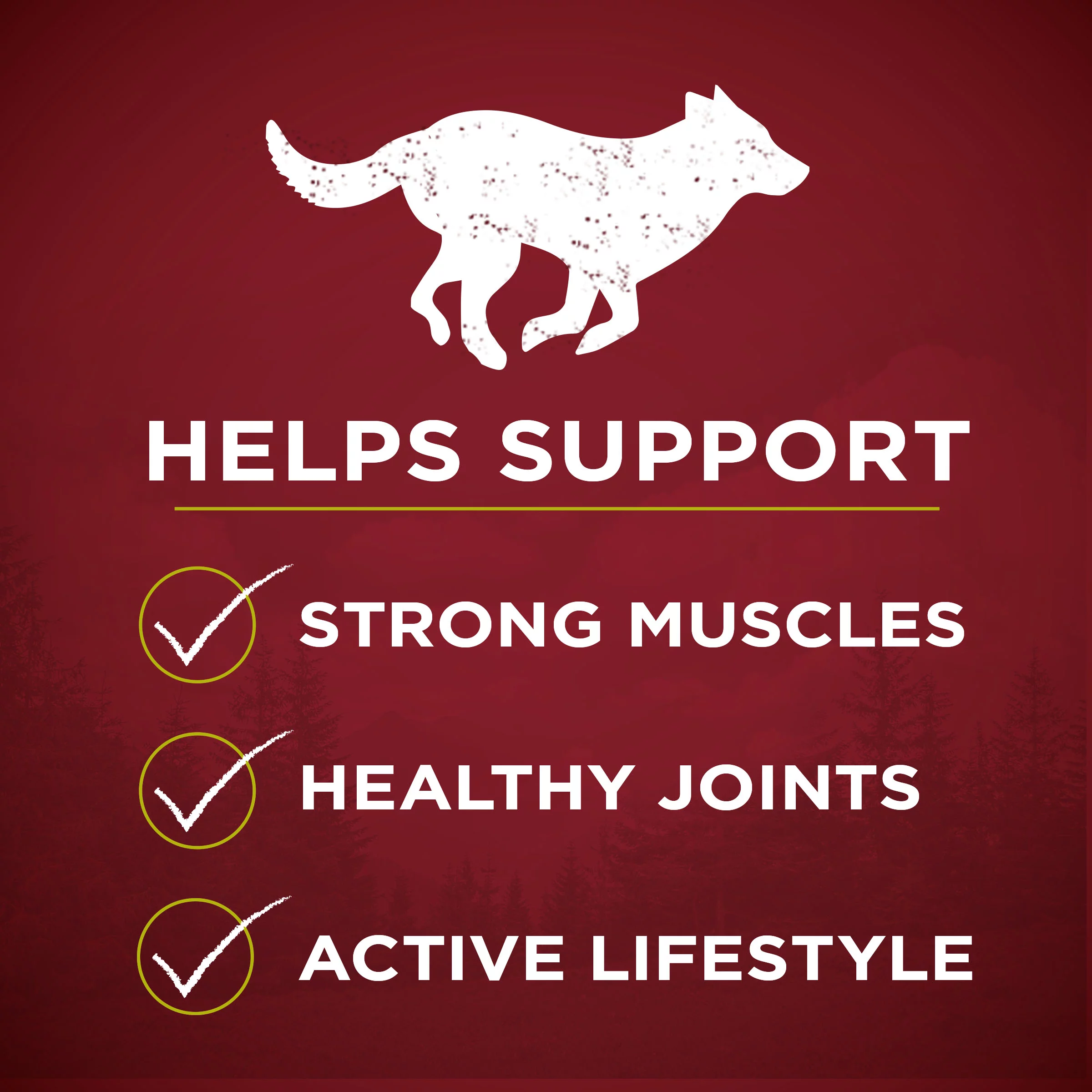 Purina ONE Grain Free, Natural, High Protein Dry Dog Food, SmartBlend True Instinct Real Chicken, 12.5 lb. Bag