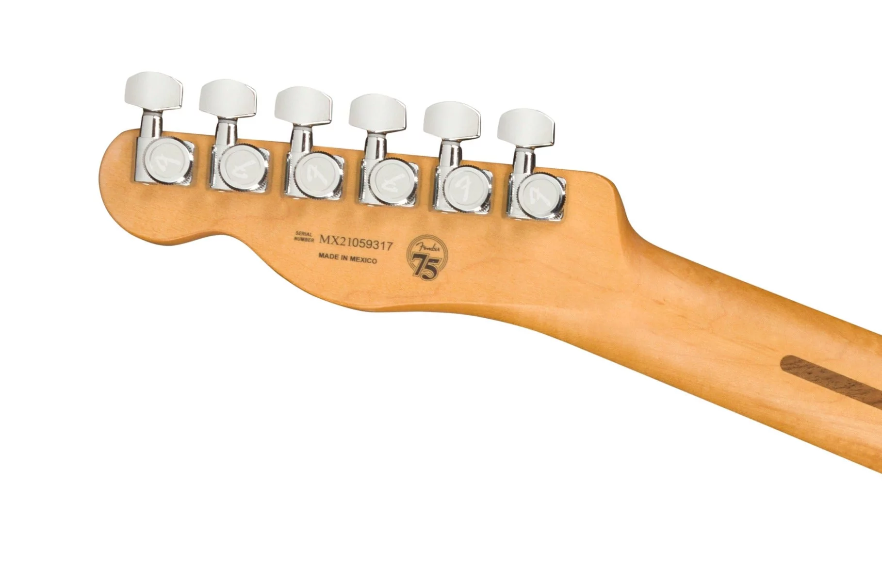 Fender PLAYER PLUS TELECASTER Electric Guitar (Cosmic Jade, Maple Fretboard)