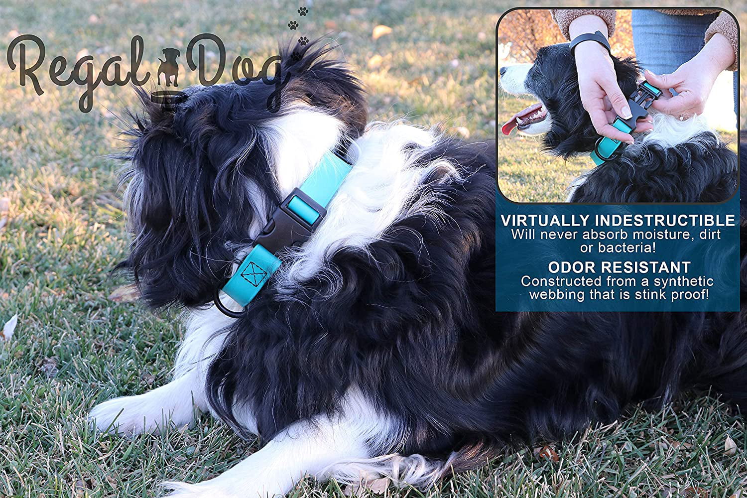 Regal Dog Products Custom Fit Waterproof Dog Collar with High Strength Buckle & Heavy Duty Ring - Training Dog Collar
