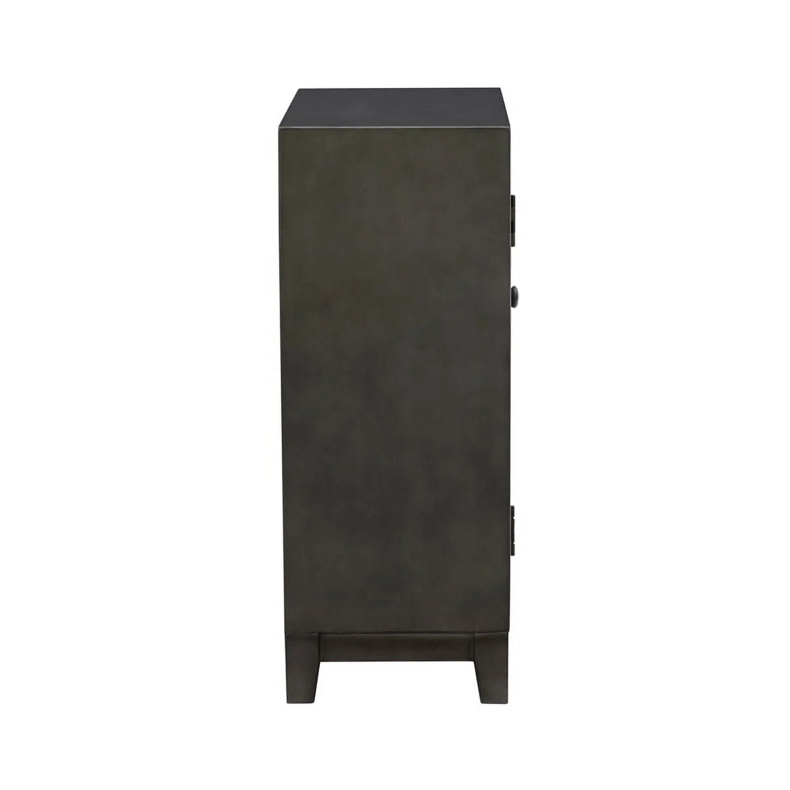 Pemberly Row Transitional Veneer Wood Accent Cabinet in Dark Gray