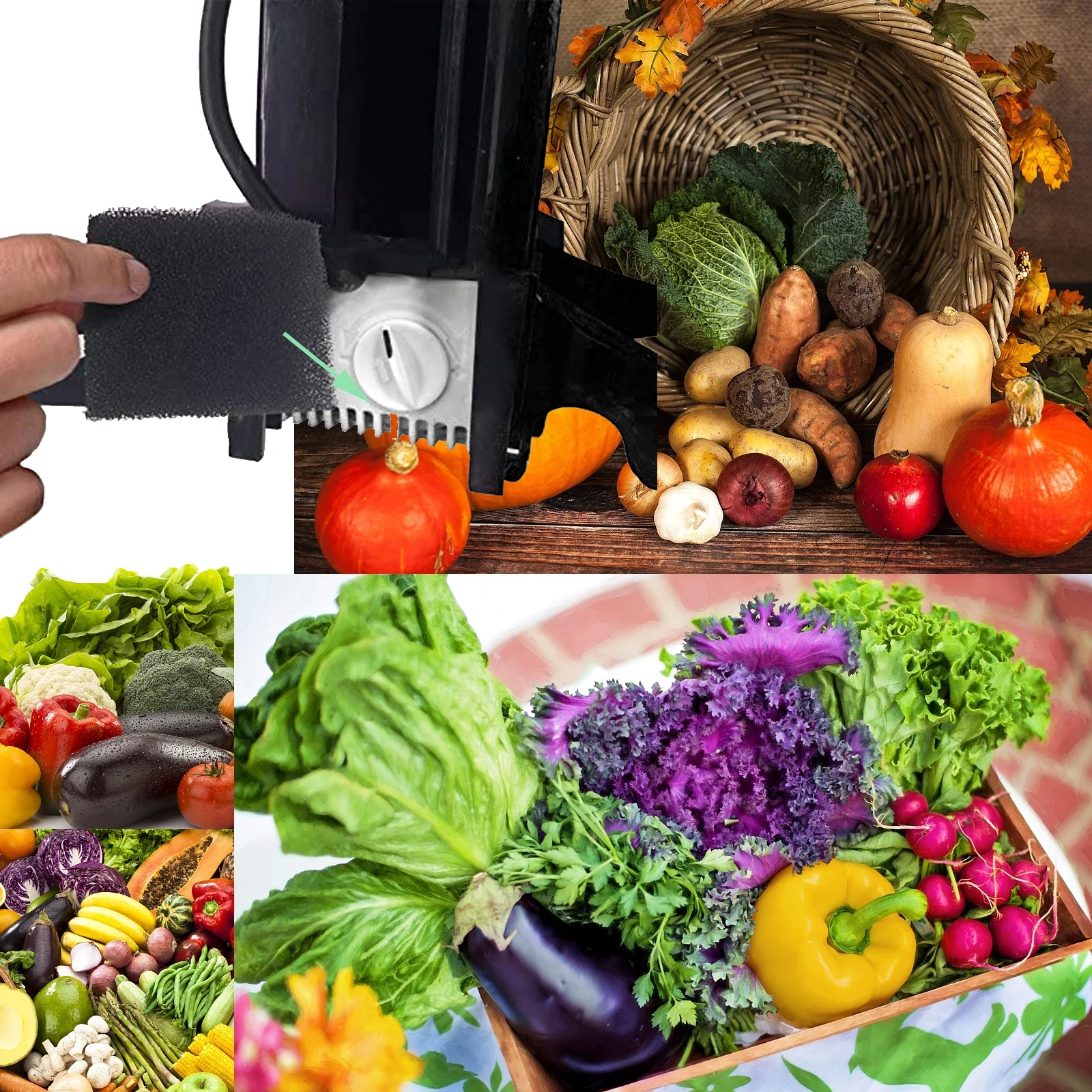 30 Pack Pump Filter for Aerogarden Hydroponic Growing System, Pump Filter Sponge Replacement Accessories Aerogarden Plant Germination Kits