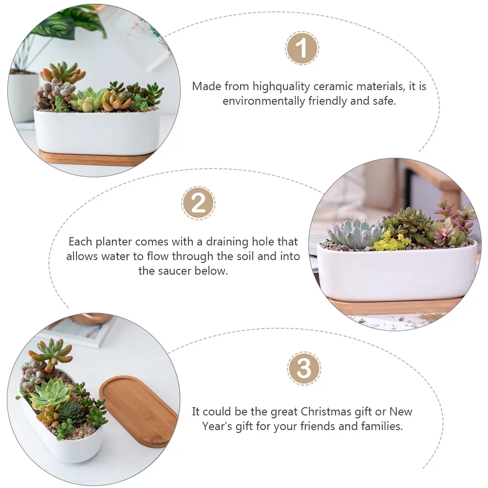 Guichaokj 2pcs Ceramic Succulent Bonsai Plant Pot Cactus Flower Planter with Bamboo Saucer