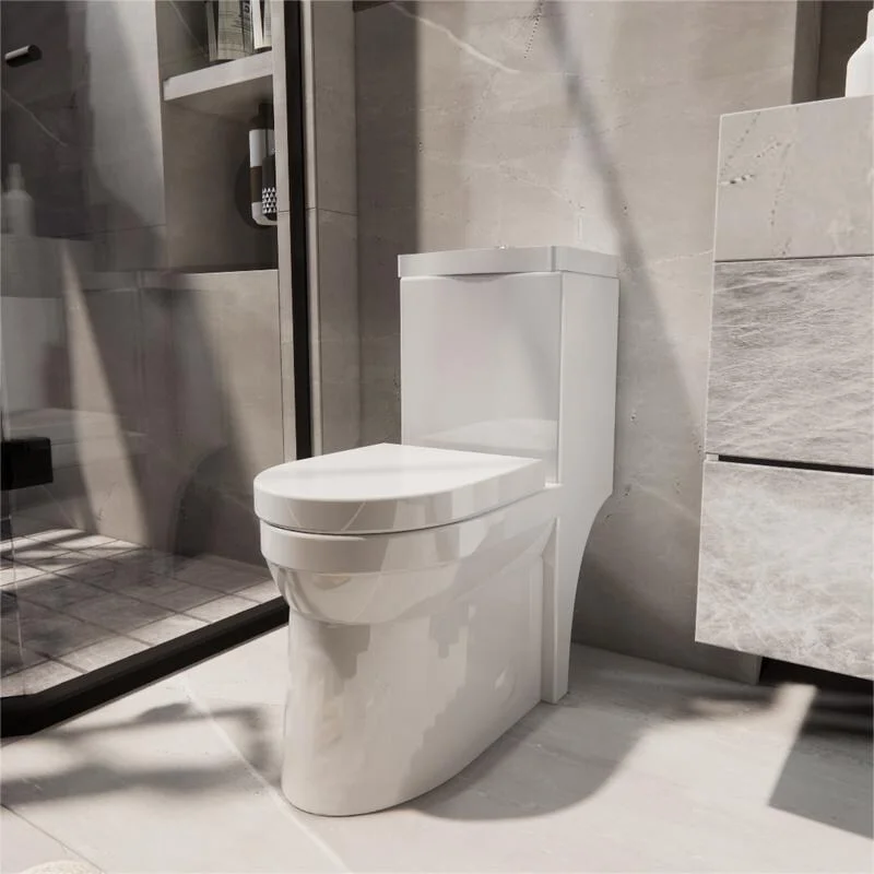 Momei One Piece Toilet,Floor-Discharge Dual Flush,Glossy White - 24.8x13x27.56