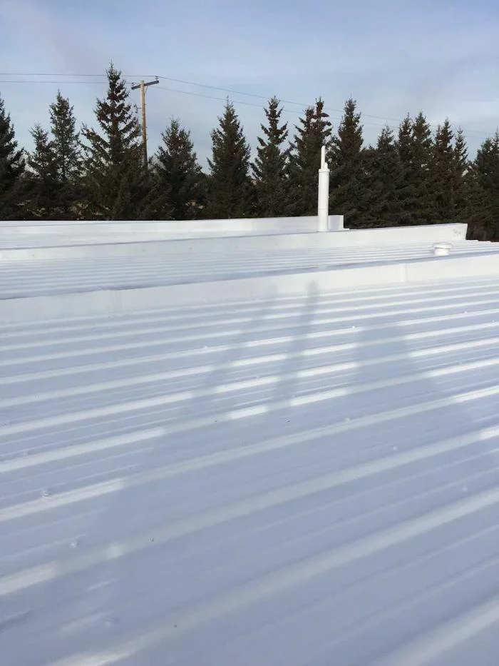 Liquid Rubber Silicone Roof Coating, White, 1 Gallon