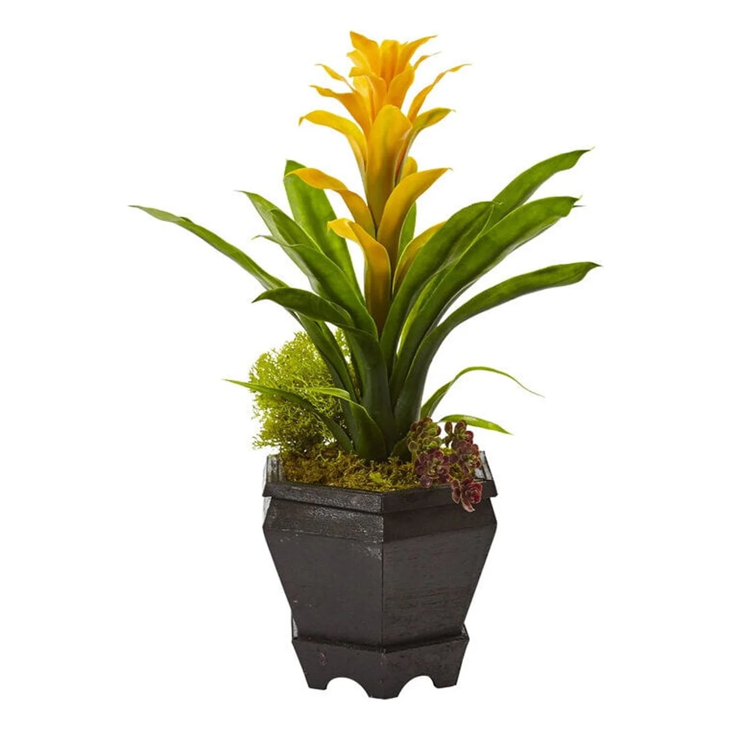 HomeStock Suburban Soiree In Black Hexagon Planter