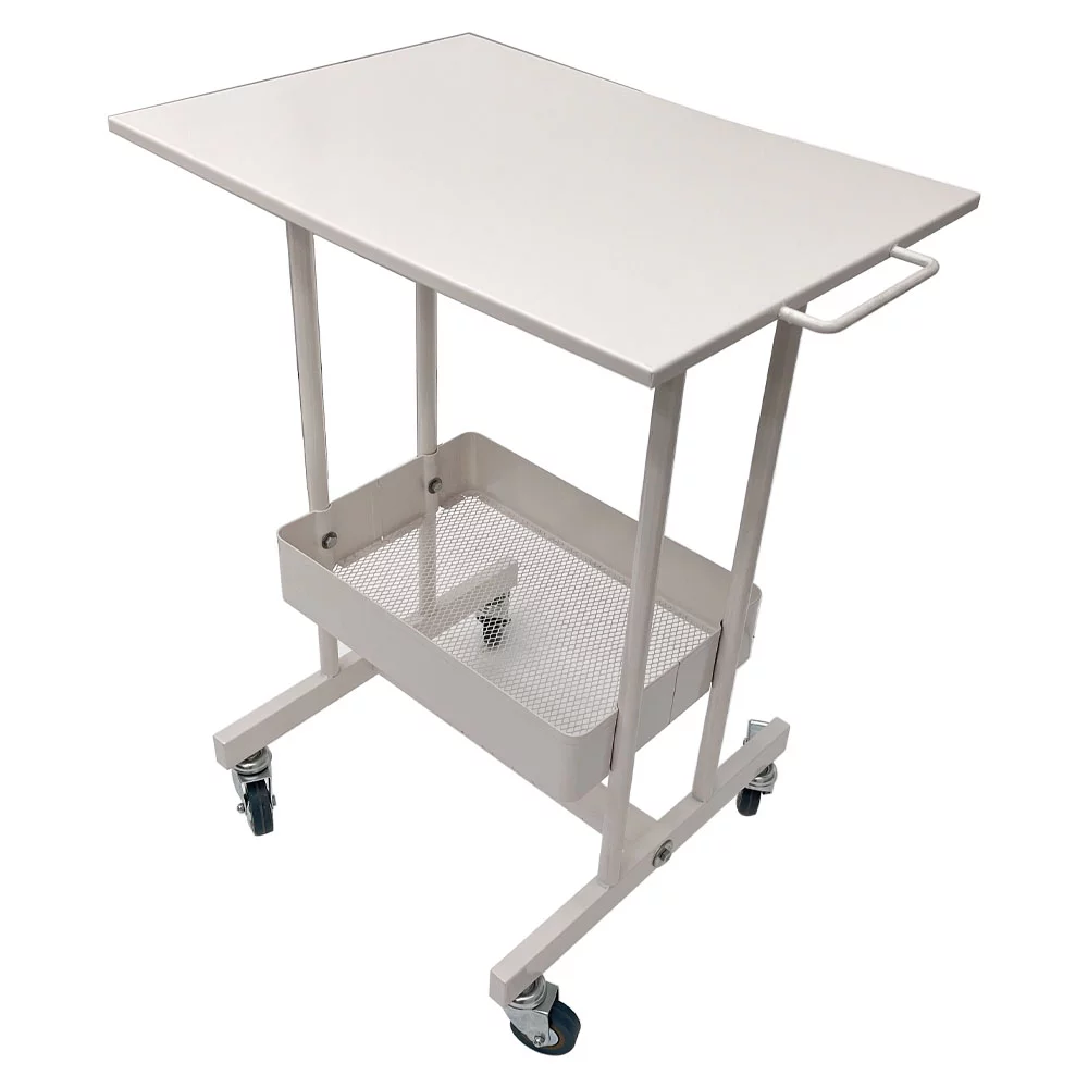Techtongda High Carbon Steel Multi-functional Mobile Cart for Hospital Beauty Salon Family 2 Layers
