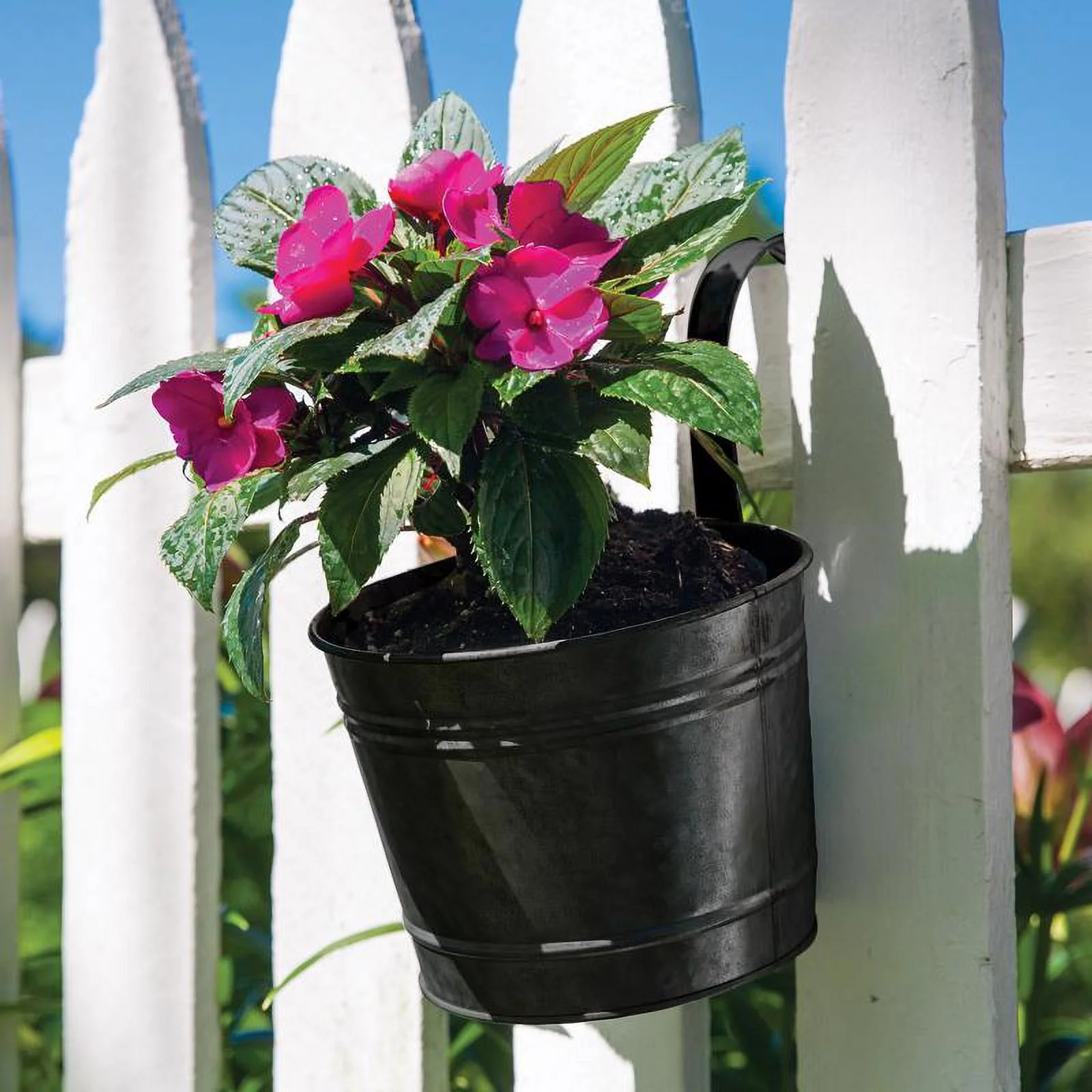 Panacea  8 in. Dia. x 10.5 in. Metal Over The Rail Planter, Black - Pack of 6