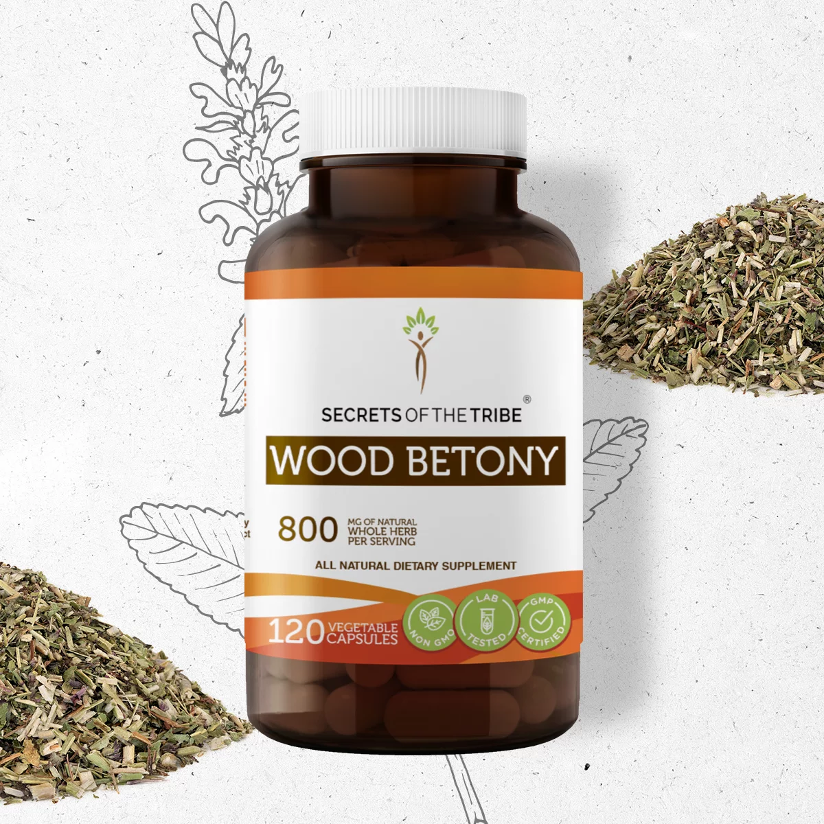 Secrets of the Tribe Wood Betony 120 Capsules, 400 mg, Organic Wood Betony (Stachys officinalis) Dried Top