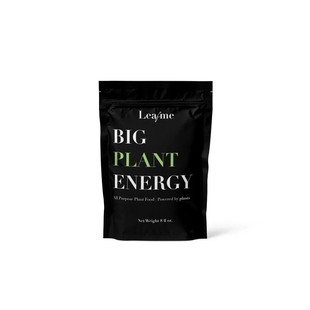 Big Plant Energy Plant Food