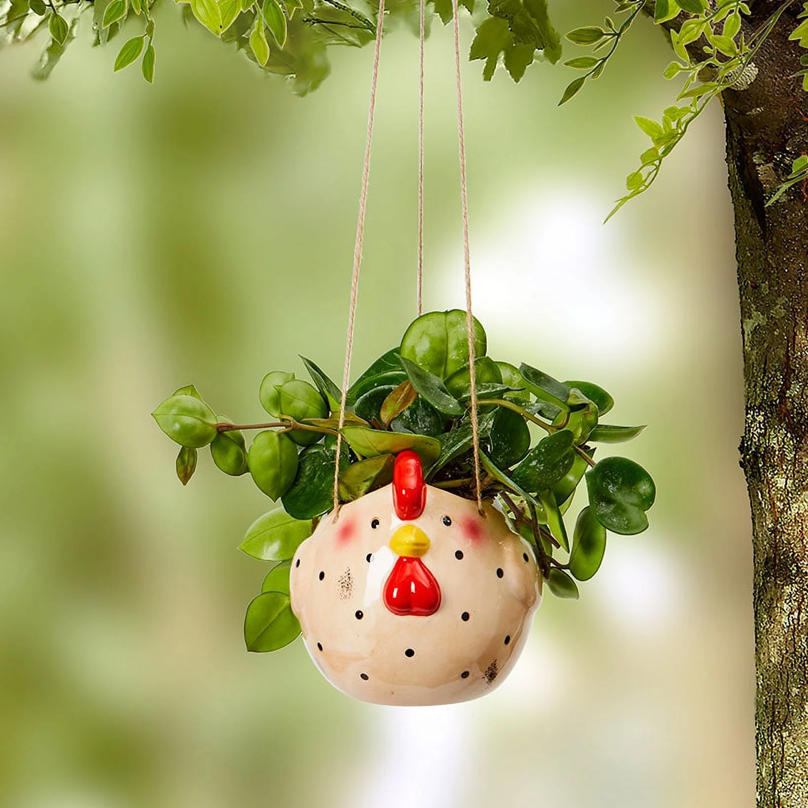 Farm Animal Planters - Chicken