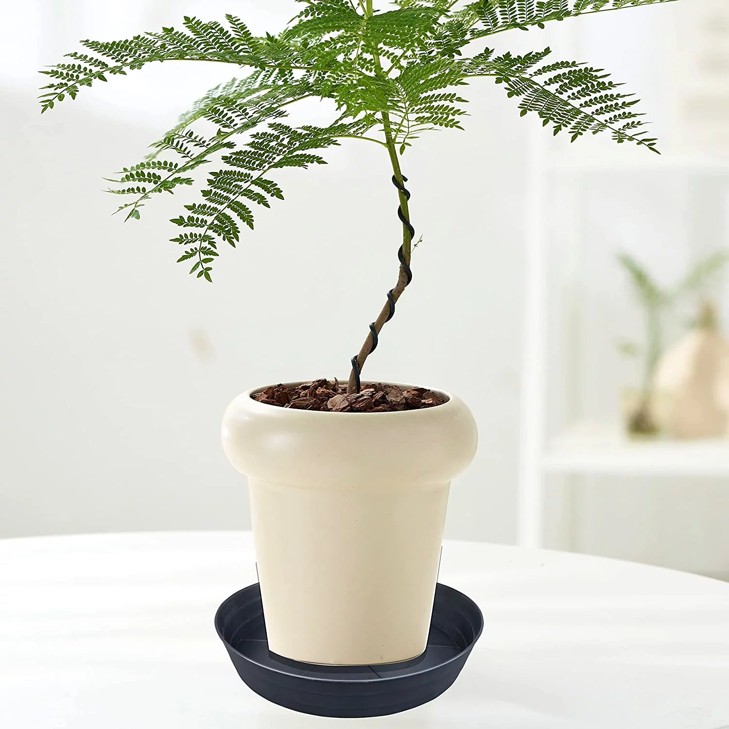 Namzi -a Plant Saucer 12 Inch Extra-Deep Plant Trays for Flower Pot, Heavy Drainage Tray for Indoors No Holes, 10 Pack of Plastic Plant saucers Water Catcher for Pots Base (12 Inch, Black)