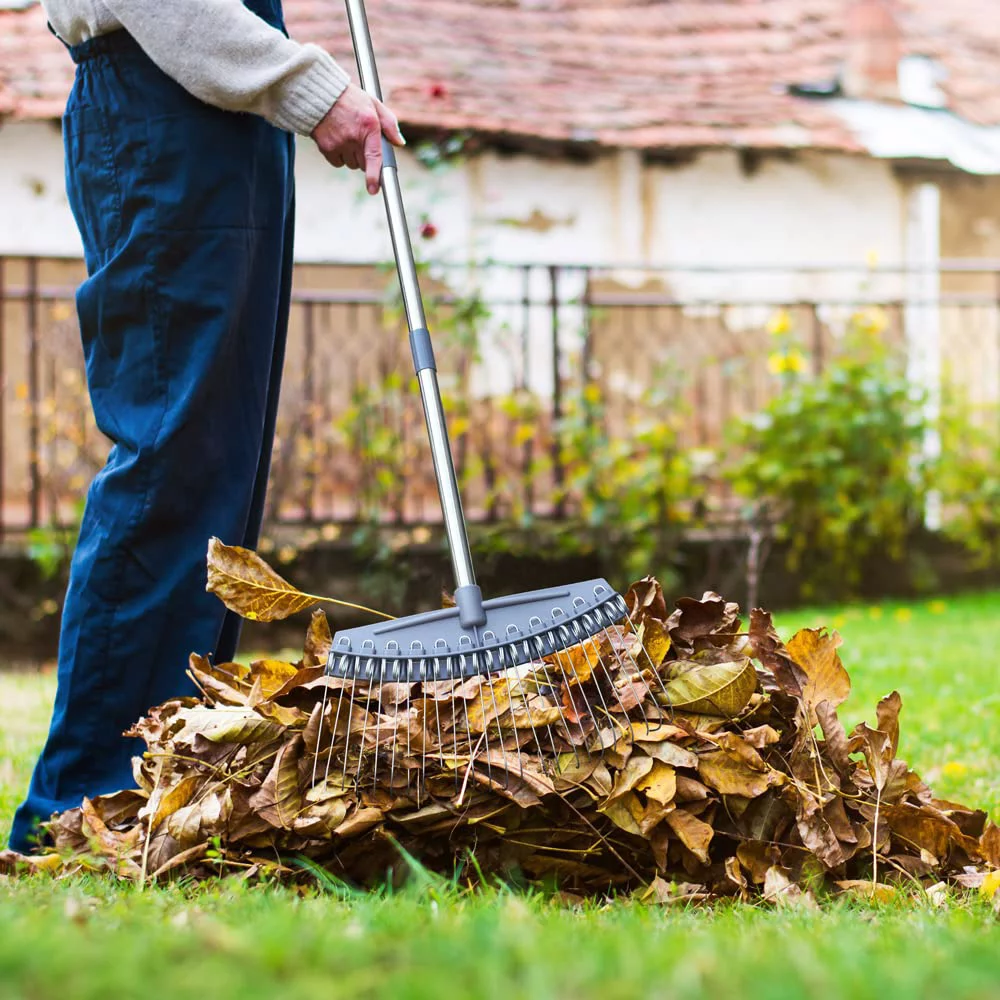 Colwelt Thatch Rake -24 Steel Tines, Dethatching Rake with 54’’ Lightweight Stainless Steel Handle, Yard Dethatcher Rake for Lawn