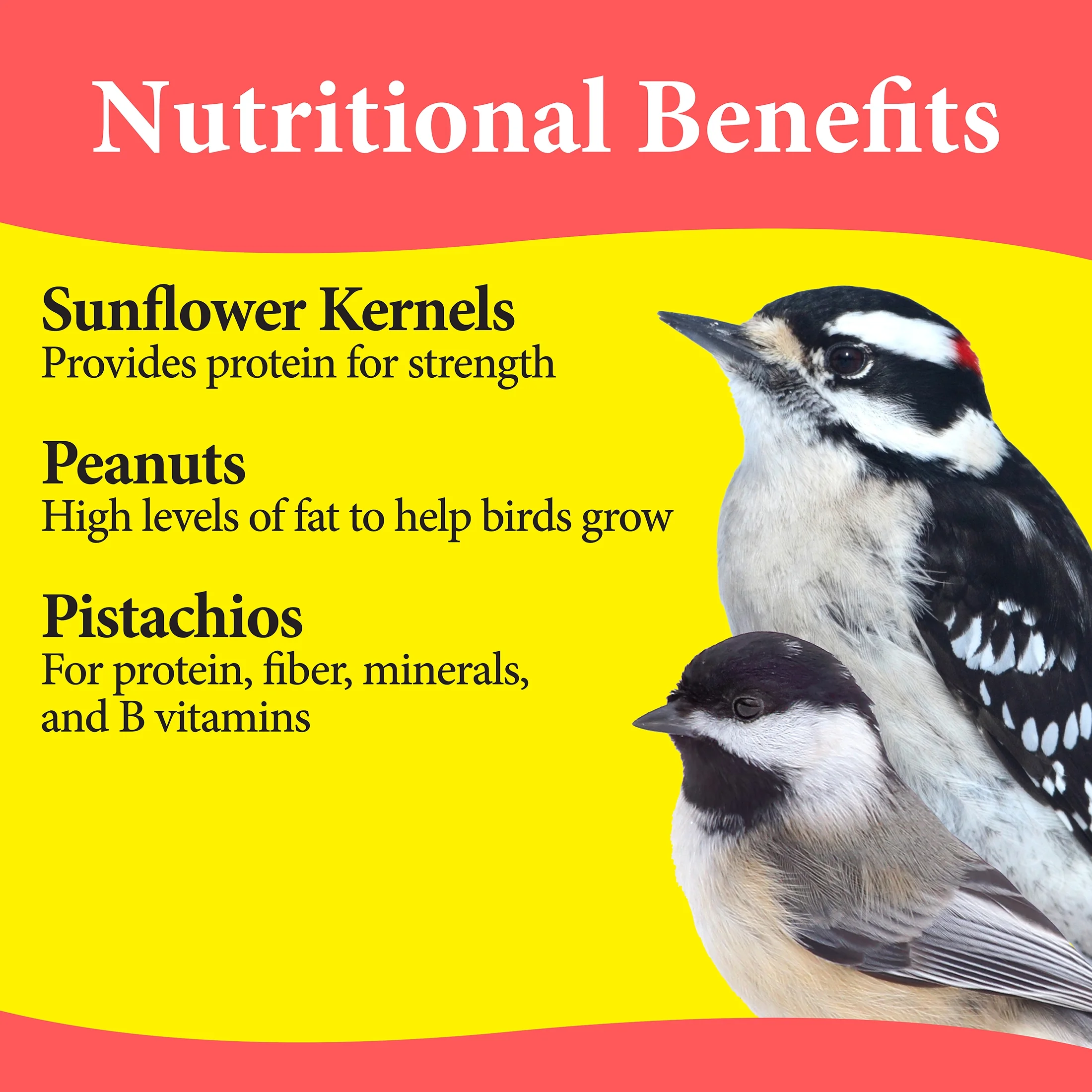 3-D Pet Products Premium Western Region Blend Dry Wild Bird Food, 5 lb., 1 Pack