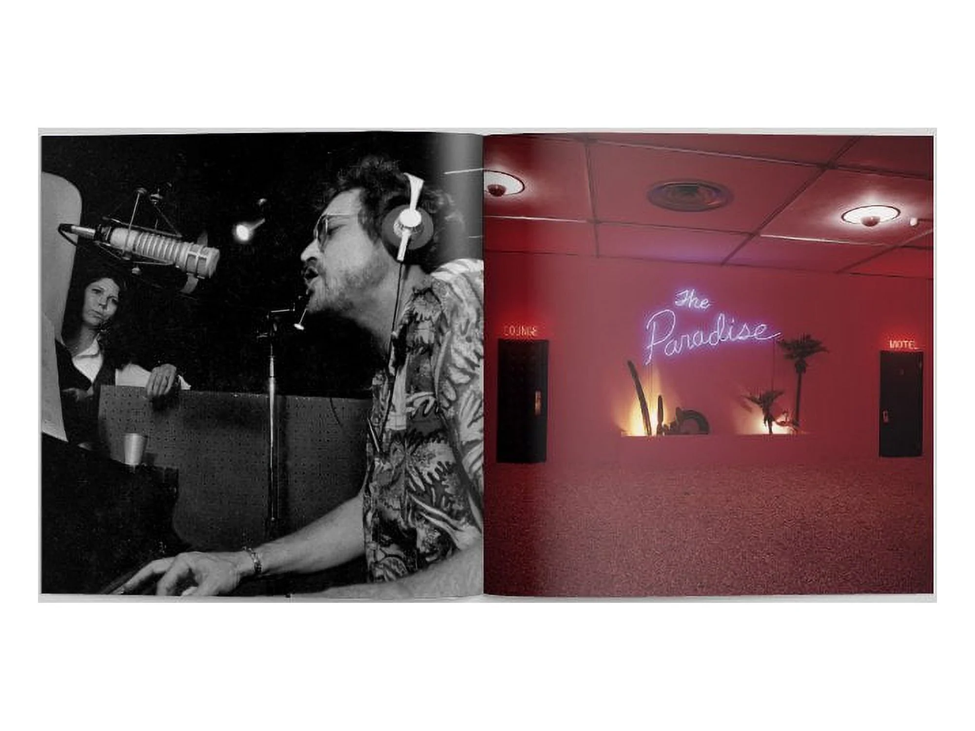 Terry Allen - Lubbock (on everything) - Country - Vinyl