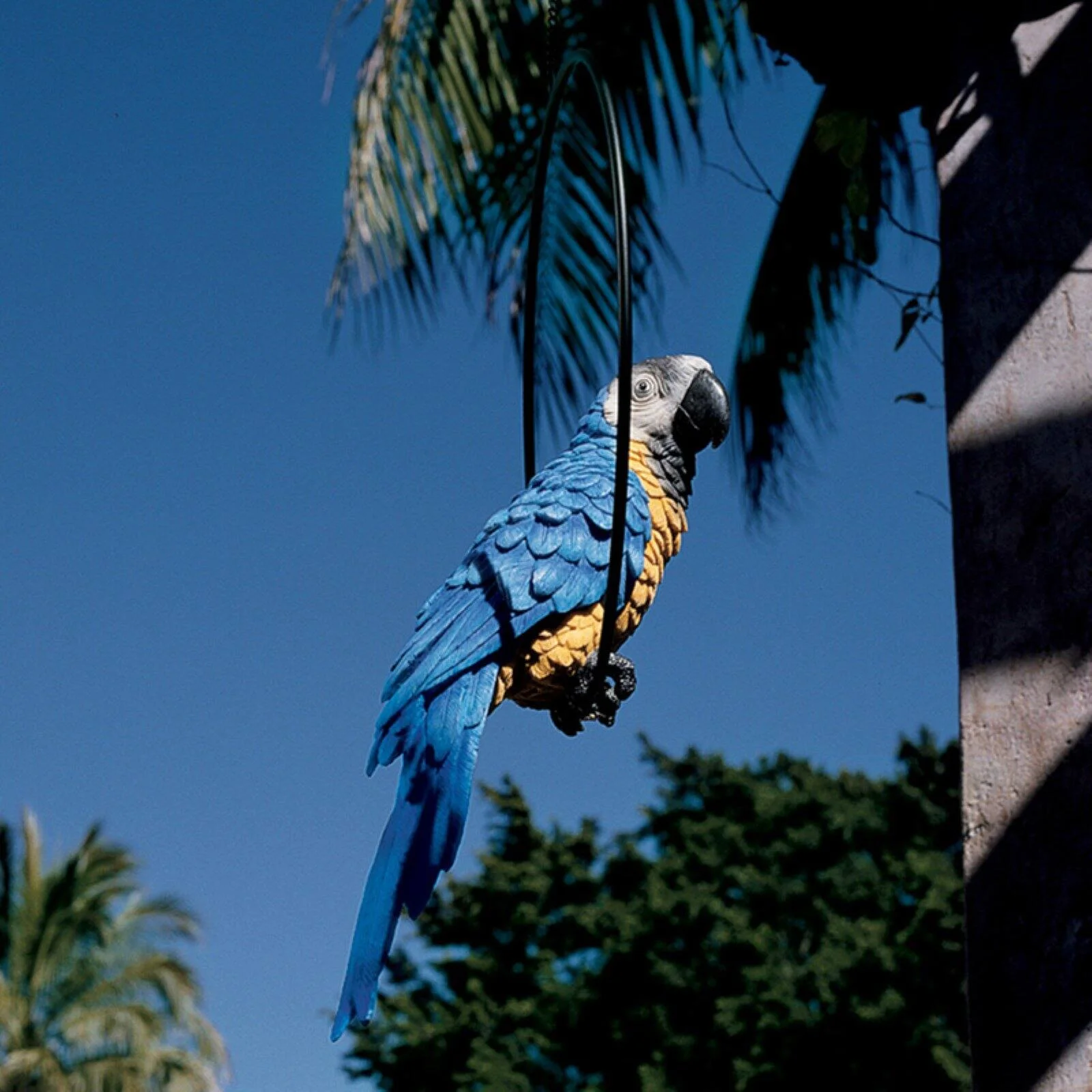 Design Toscano  Polly in Paradise Parrot on Ring Perch: Large, Set of Two