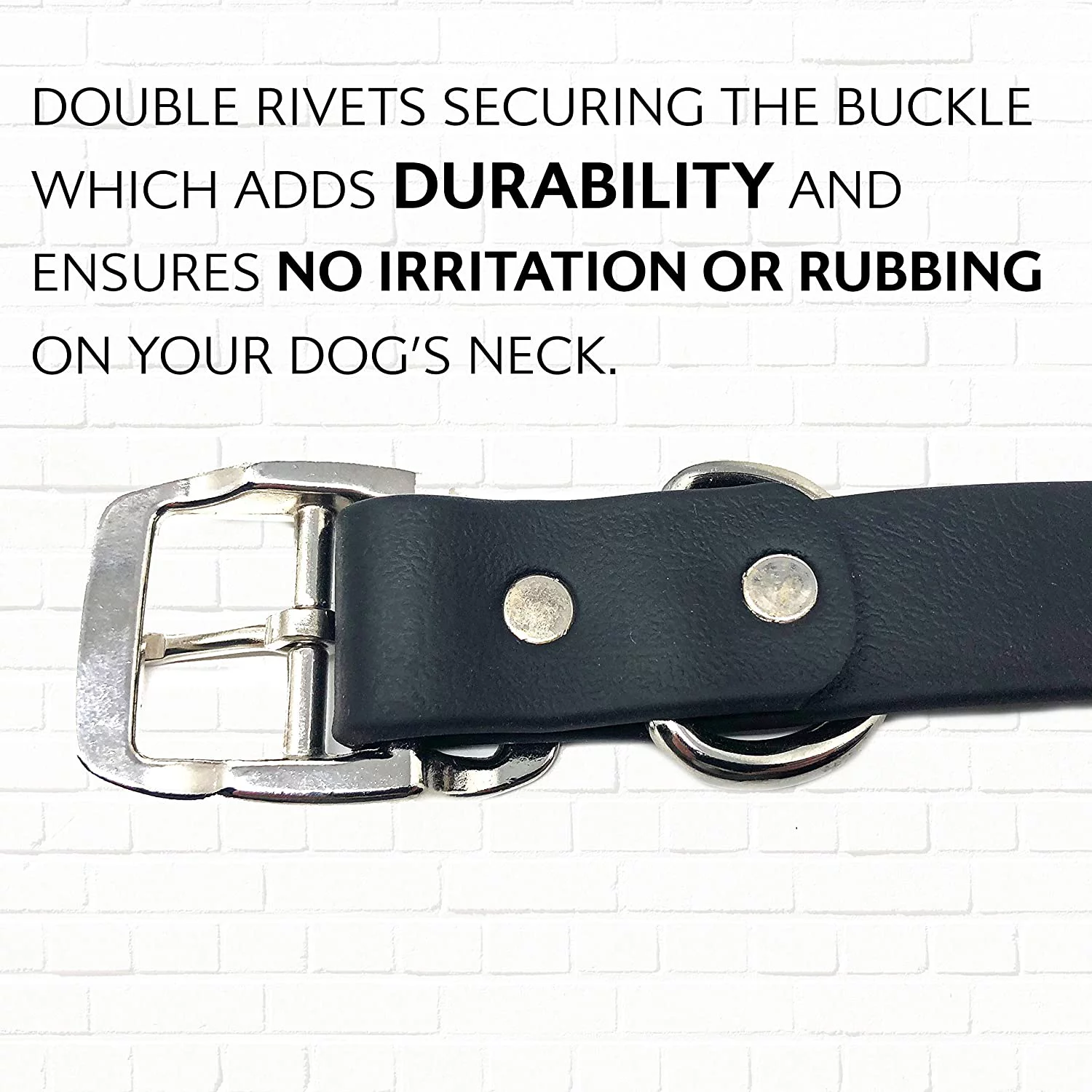 Regal Dog Products Waterproof Dog Collar with Double Buckle and D Ring