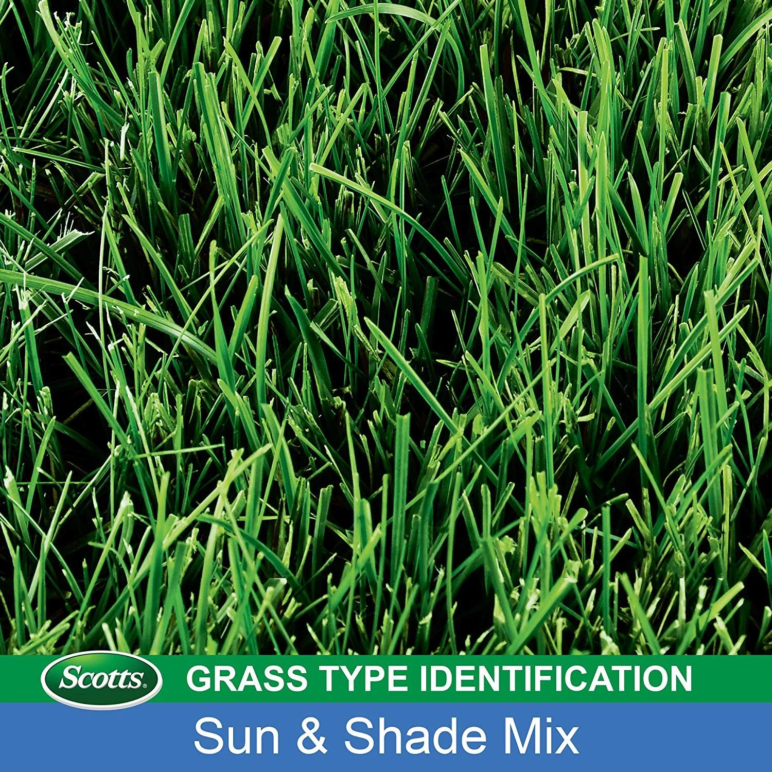 Scotts Turf Builder Grass Seed - Sun and Shade Mix, 7-Pound Not Sold in Louisiana