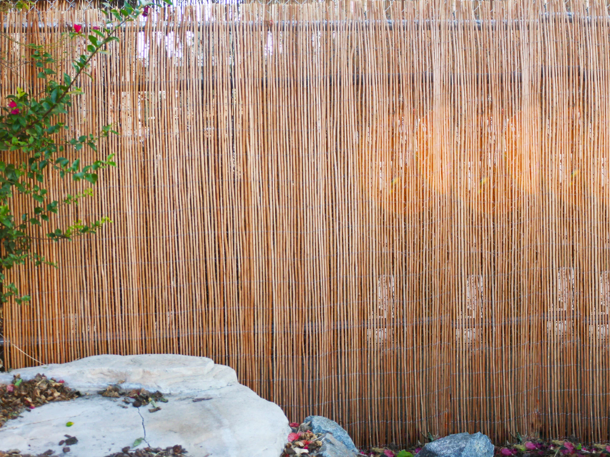 Backyard X-Scapes Natural Peeled Willow Fencing Rolled Panel Fence 6 ft H x 8 ft H