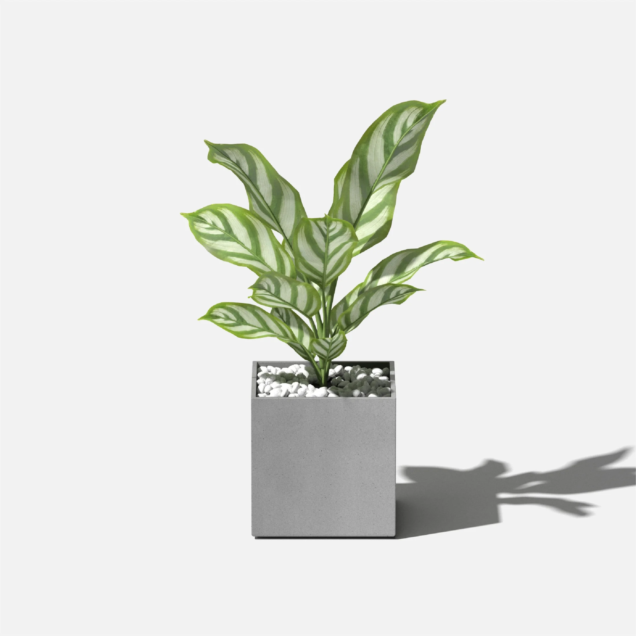 Veadek Geo Series Cube 5