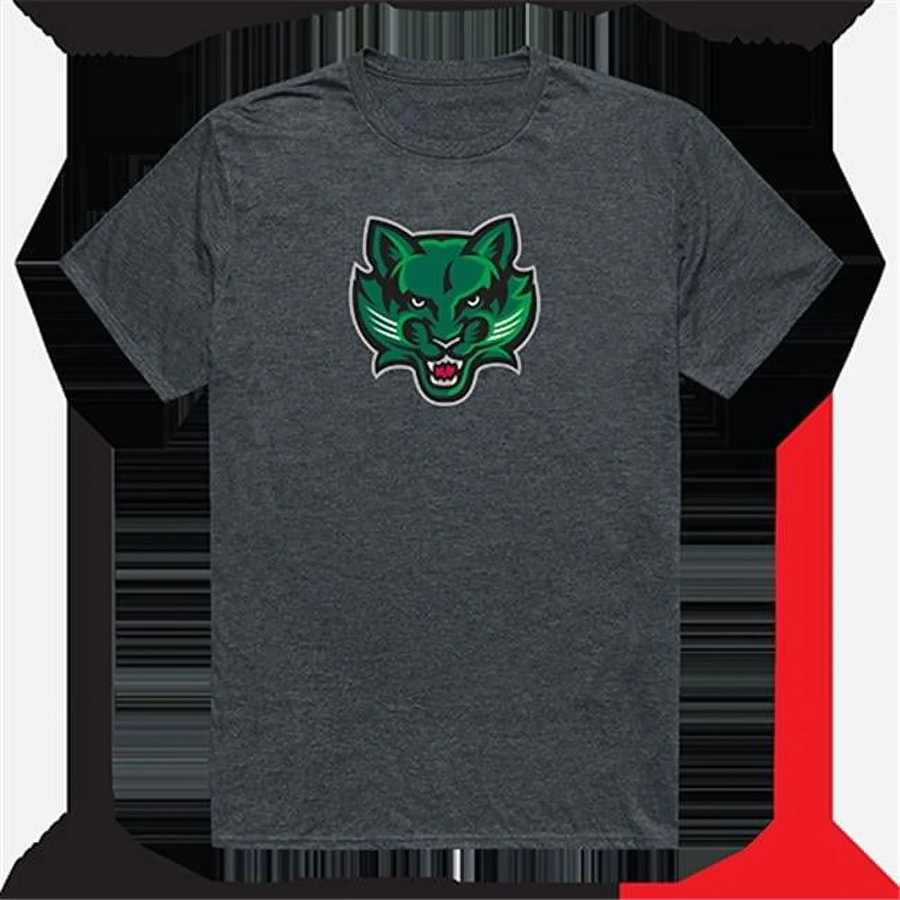 Binghamton University Cinder College Tee, Heather Charcoal - 2XL