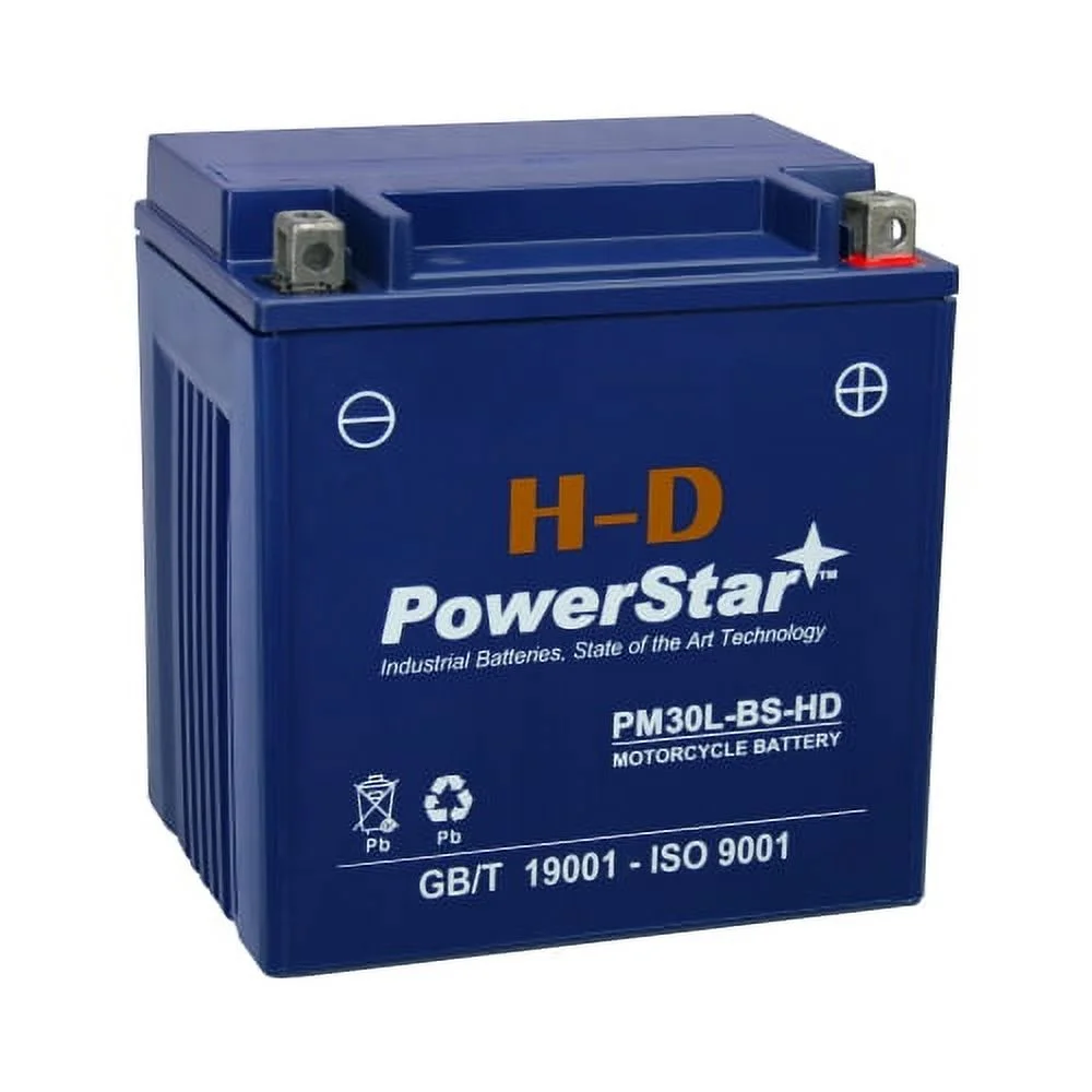 PowerStar 12V 30 Amp Hour YTX30L Battery for Harley-Davidson Motorcycles