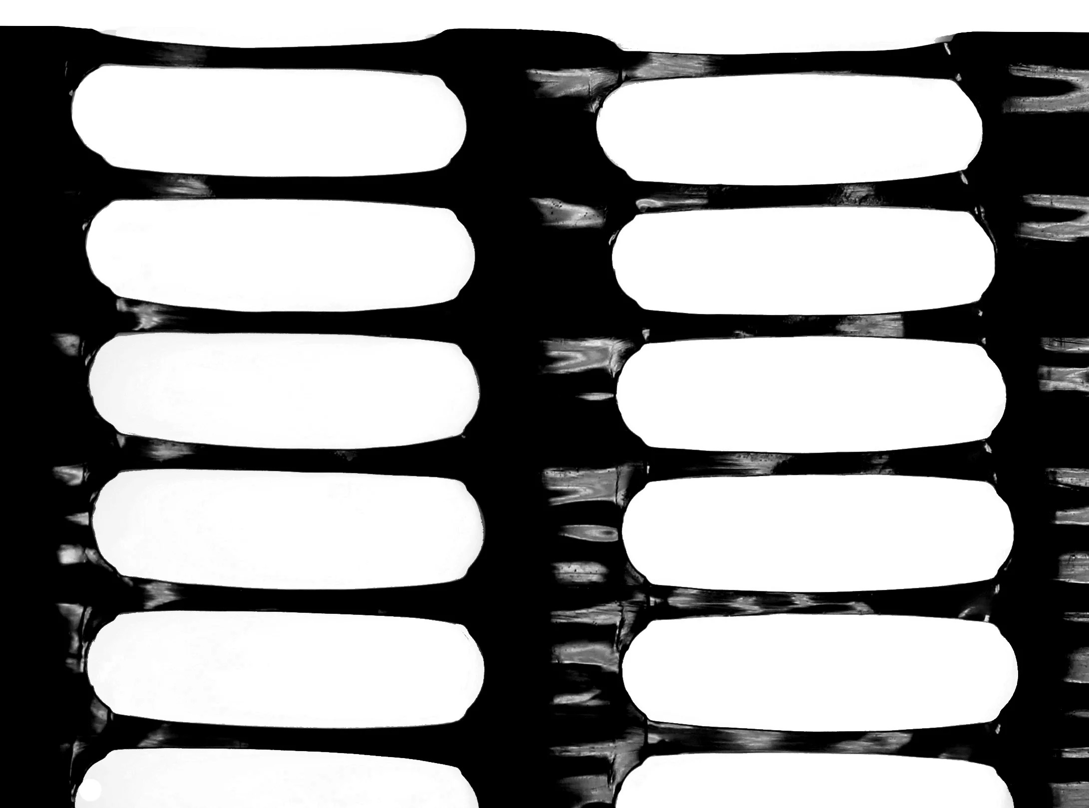 Tenax Safety Snow Fence 4-ft x 100-ft Black