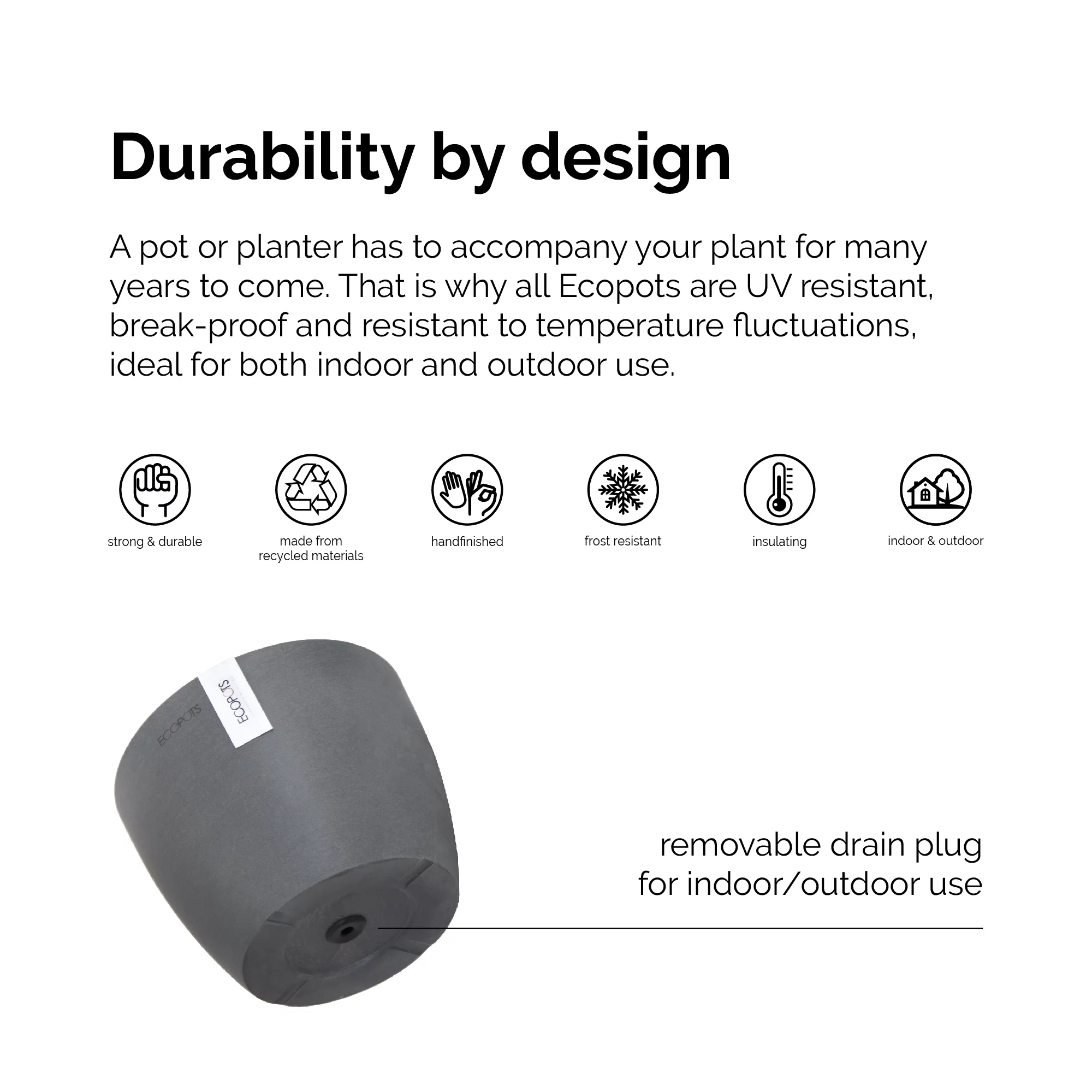 United Nursery Live Ficus Retusa Houseplant 12-14in Tall in 6 inch Premium Ecopots Pure White