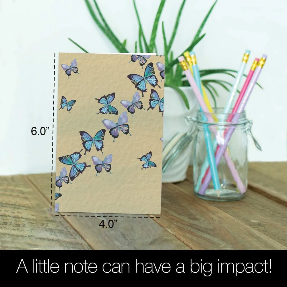 Tree-Free Greetings 12 Pack All Occasion Notecards,Eco Friendly,Made in USA,100% Recycled Paper, 4