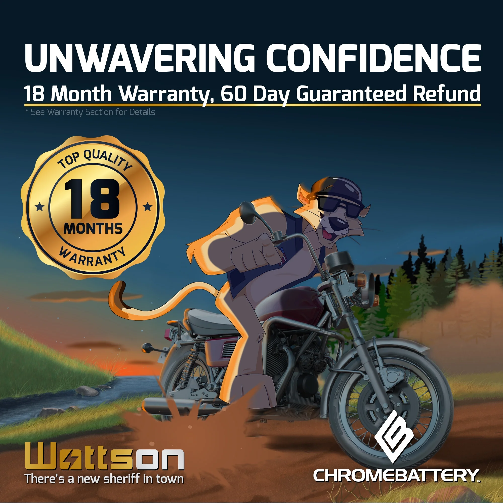 Chrome Battery 12V (12 Volts) 28Ah Sealed Lead Acid (SLA) Battery for Sealed Deep-cycle