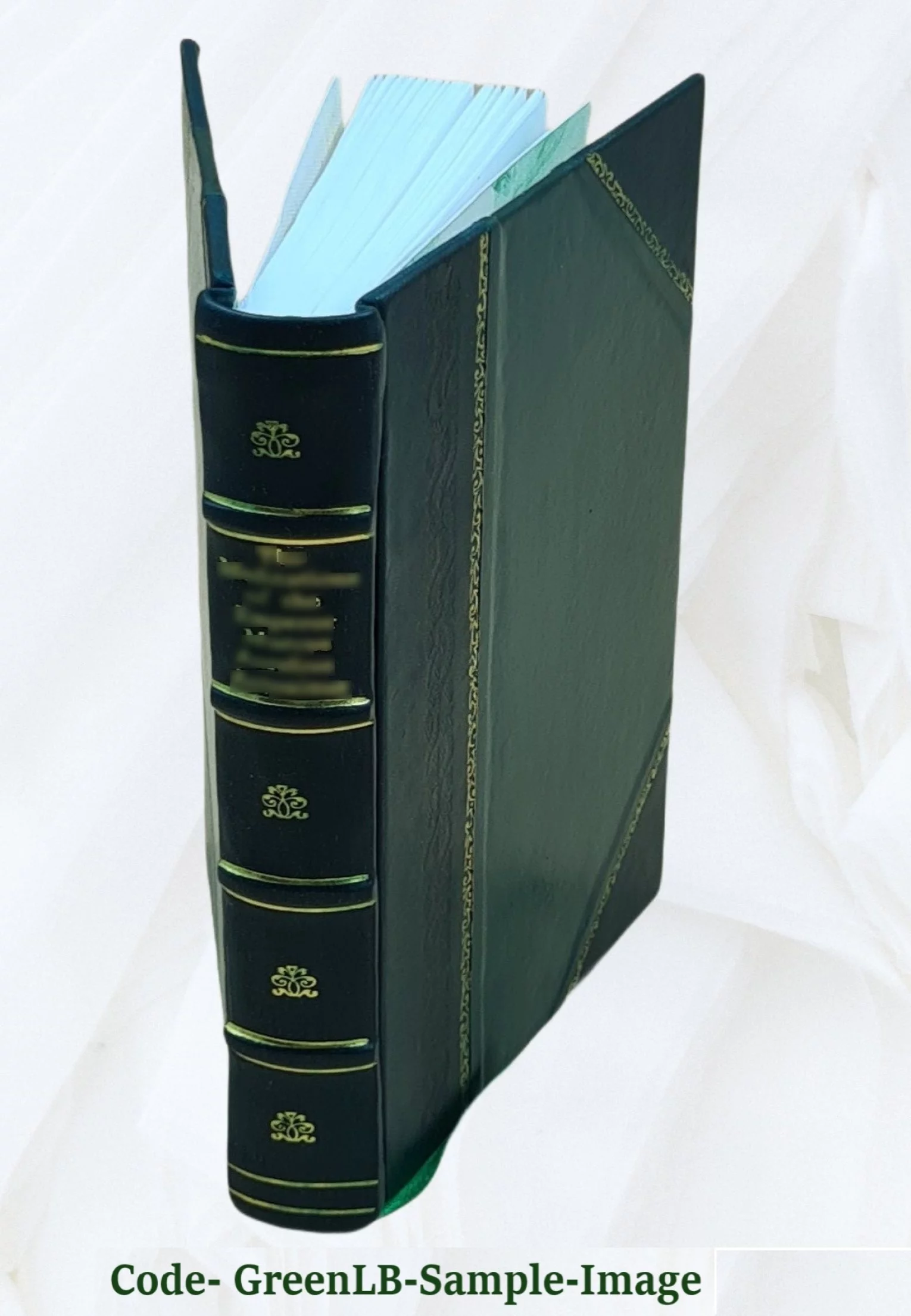 La médecine simplifiée, mise à la portée de tous les français et deux mot sur l’homéopathie et le magnétisme animal suivie sur une histoire des eaux minérales de... Ardèche 1842 [L