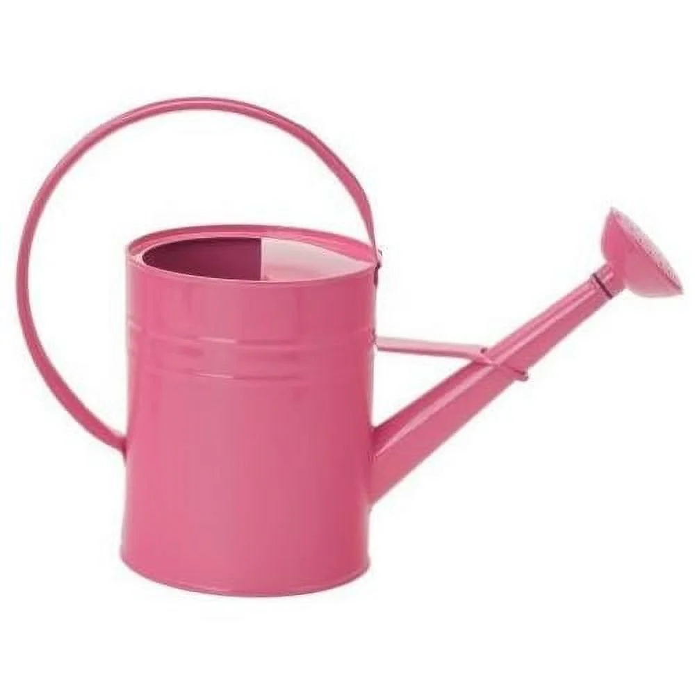 Houston International 8582E HPK 1-Gallon Steel Watering Can, Hot