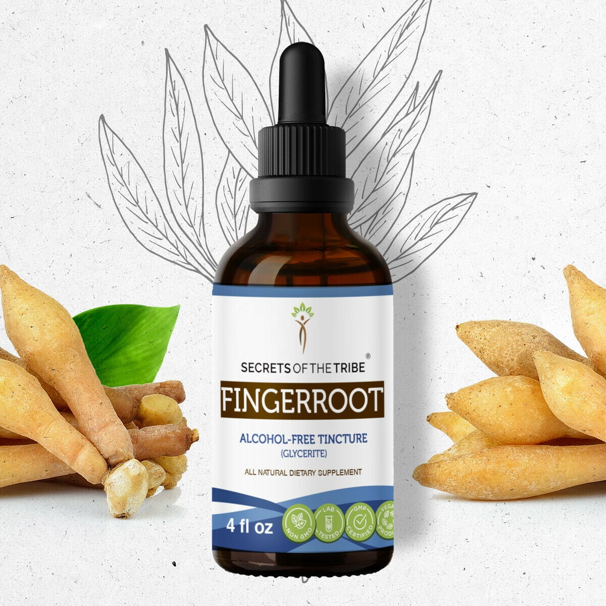 Fingerroot Tincture Alcohol-FREE Extract, Organic Fingerroot (Boesenbergia rotunda) Dried Root 4 fl oz