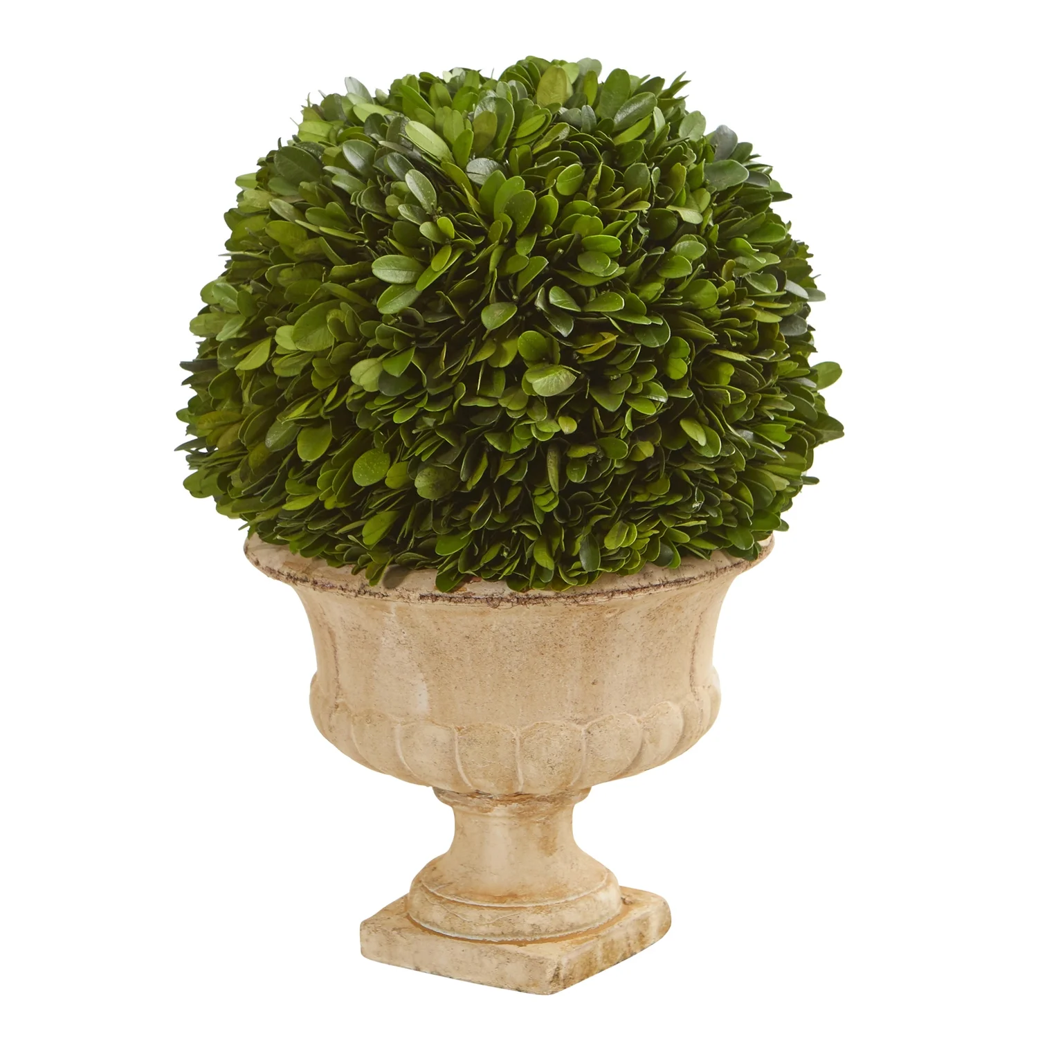 HomeStock 12In. Coastal Craftsman Elegance Topiary Ball Preserved Plant In Decorative Urn
