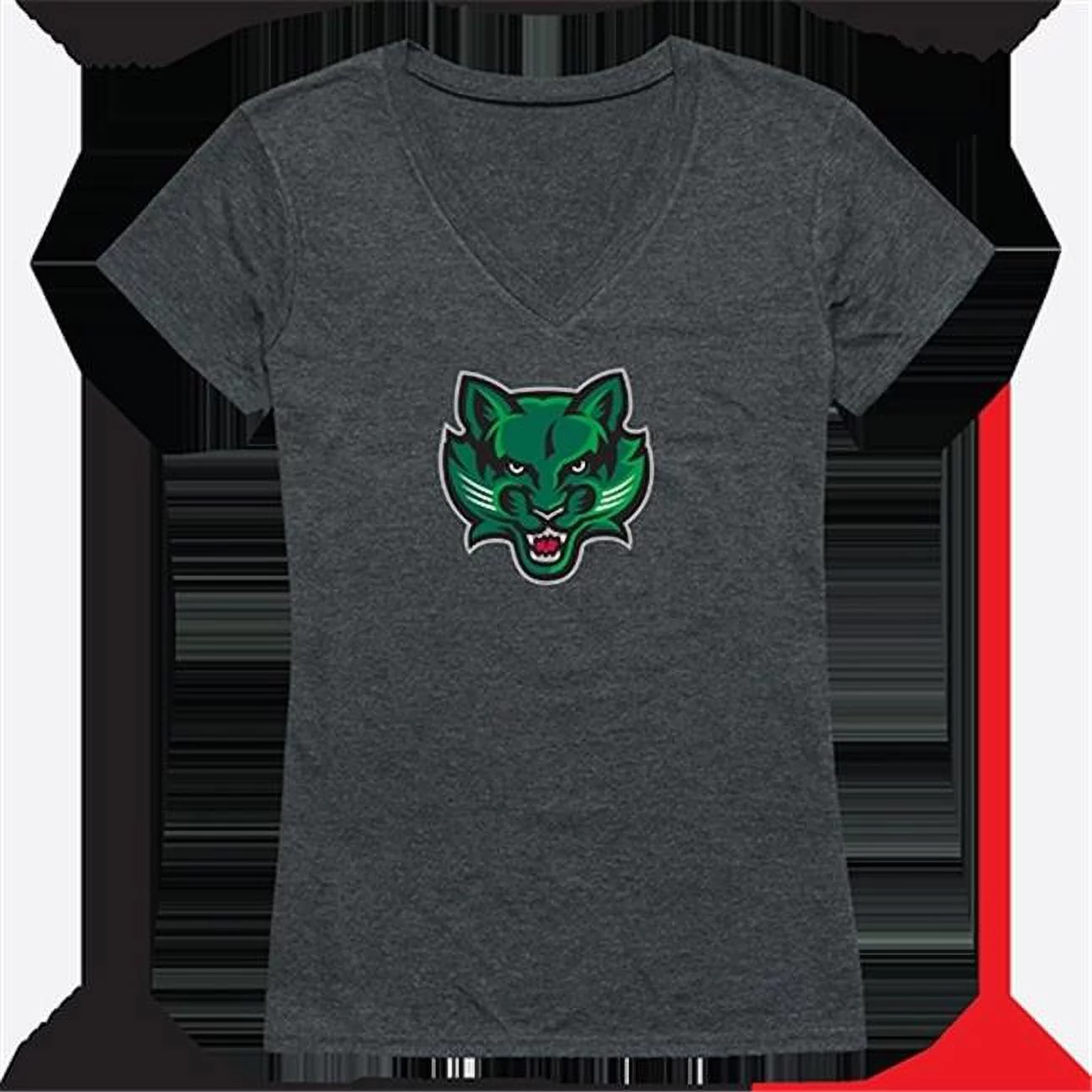 Womens Binghamton University Cinder Tee, Heather Charcoal - Large